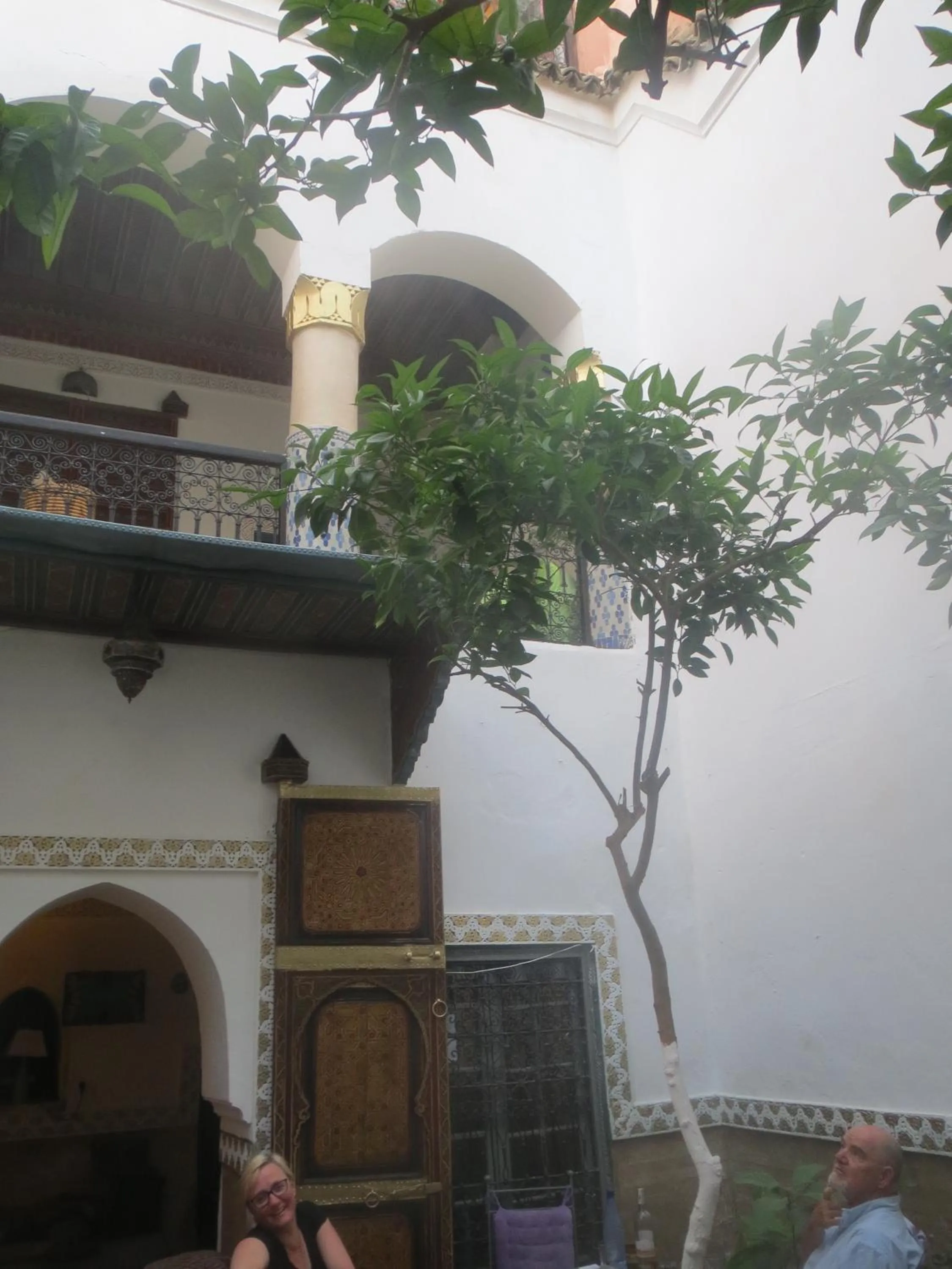 Garden in Riad Maizie