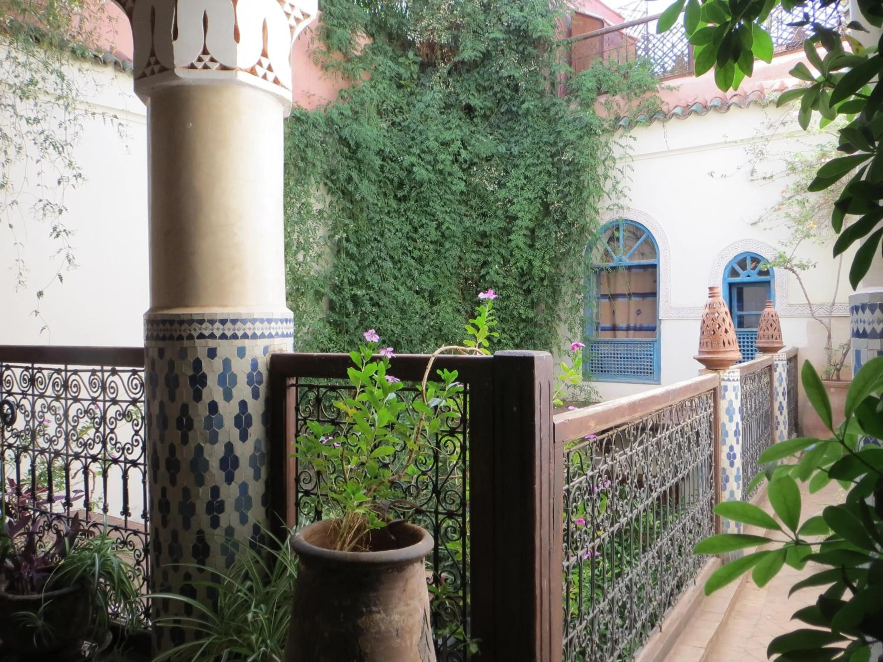 Garden in Riad Maizie
