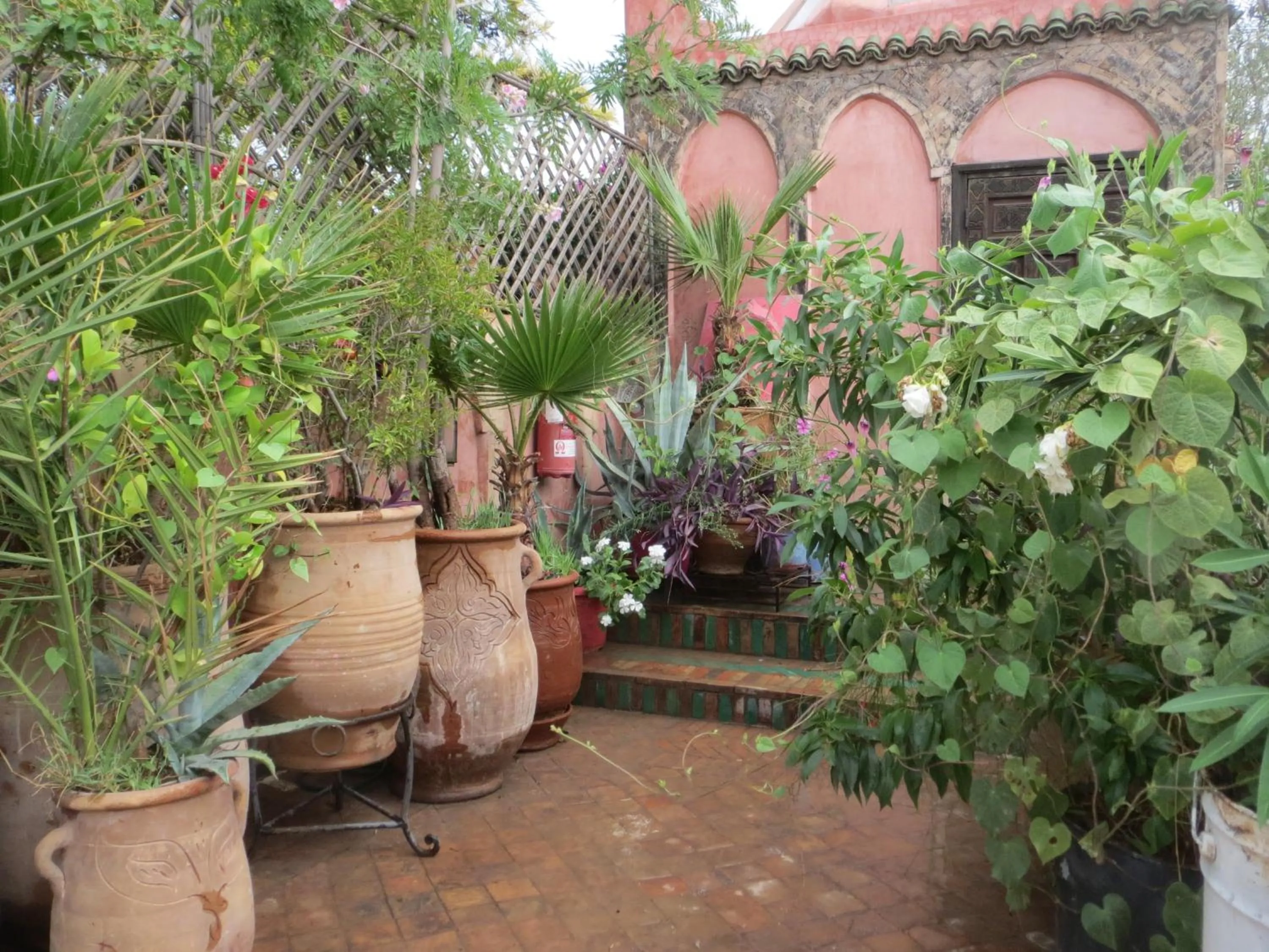 Balcony/Terrace in Riad Maizie