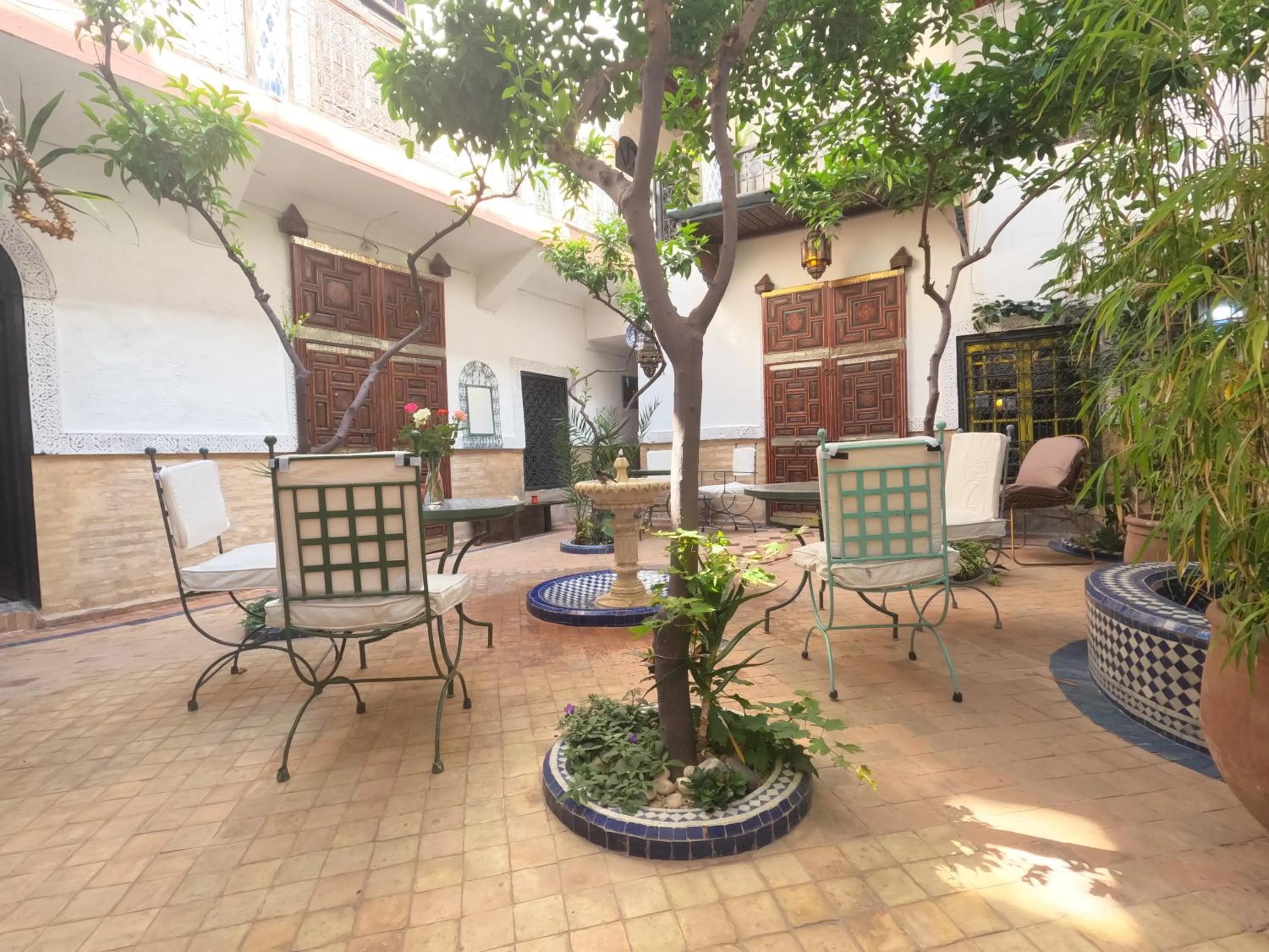 Garden in Riad Maizie