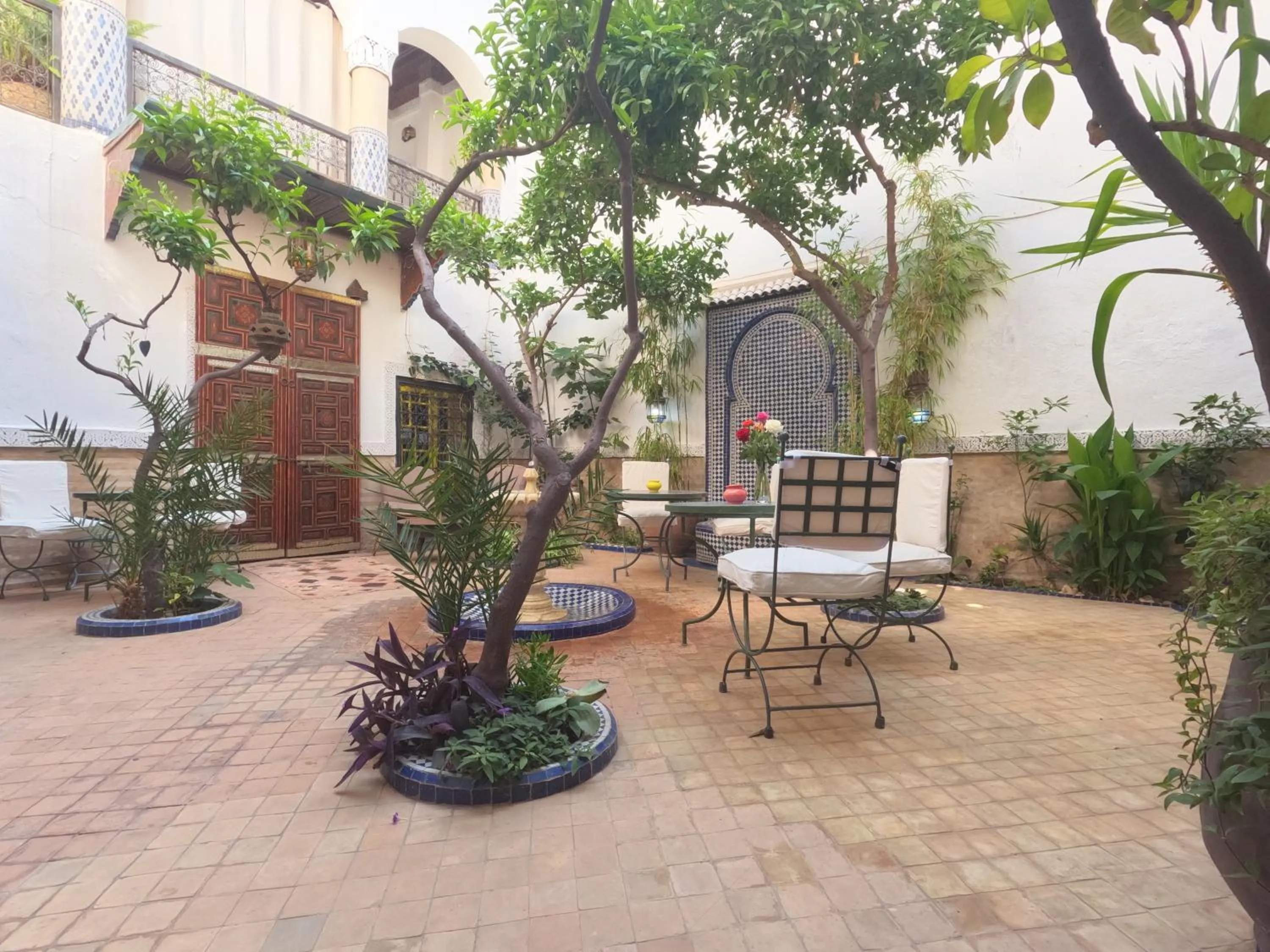 Garden in Riad Maizie