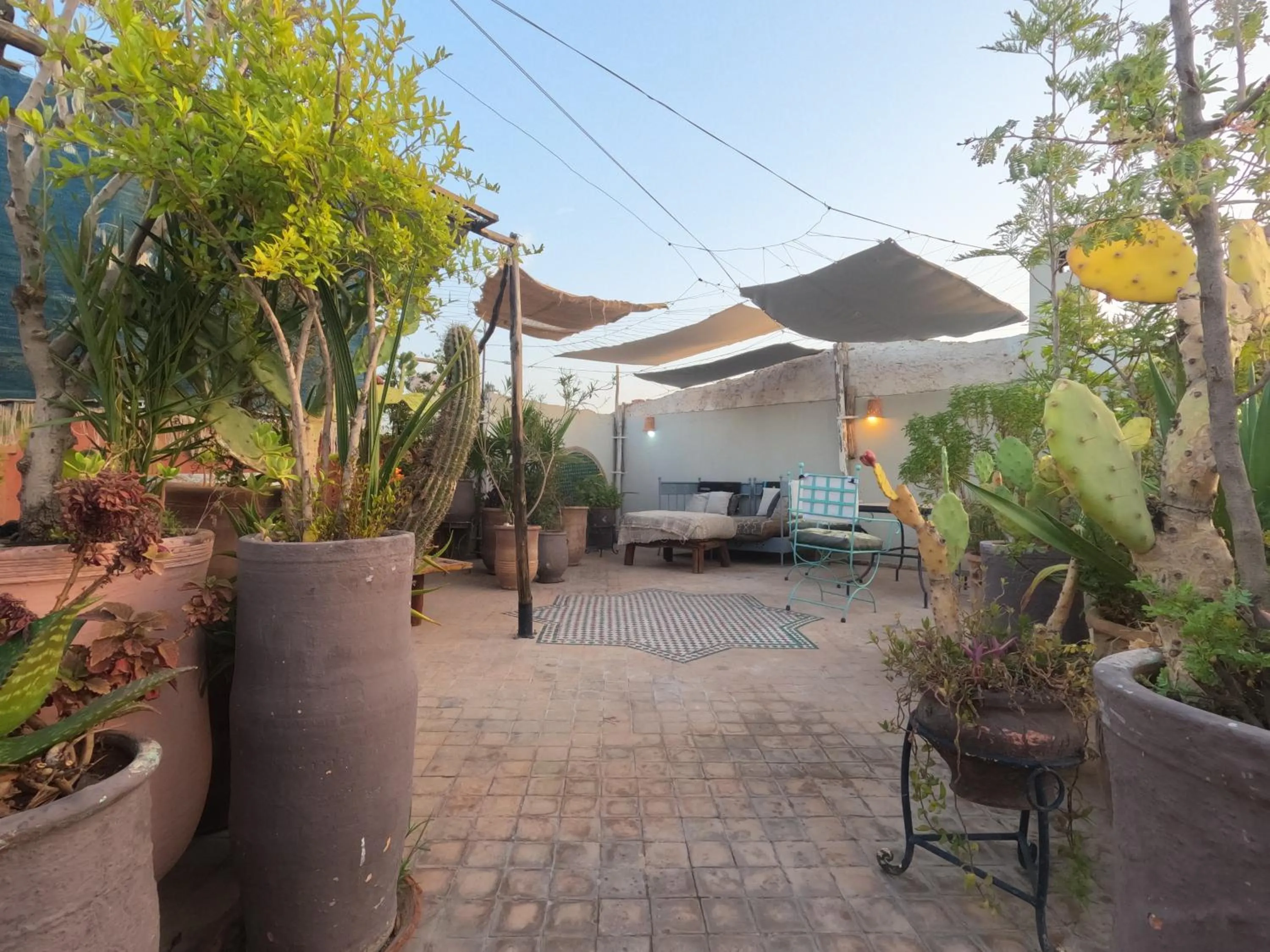 Garden view in Riad Maizie