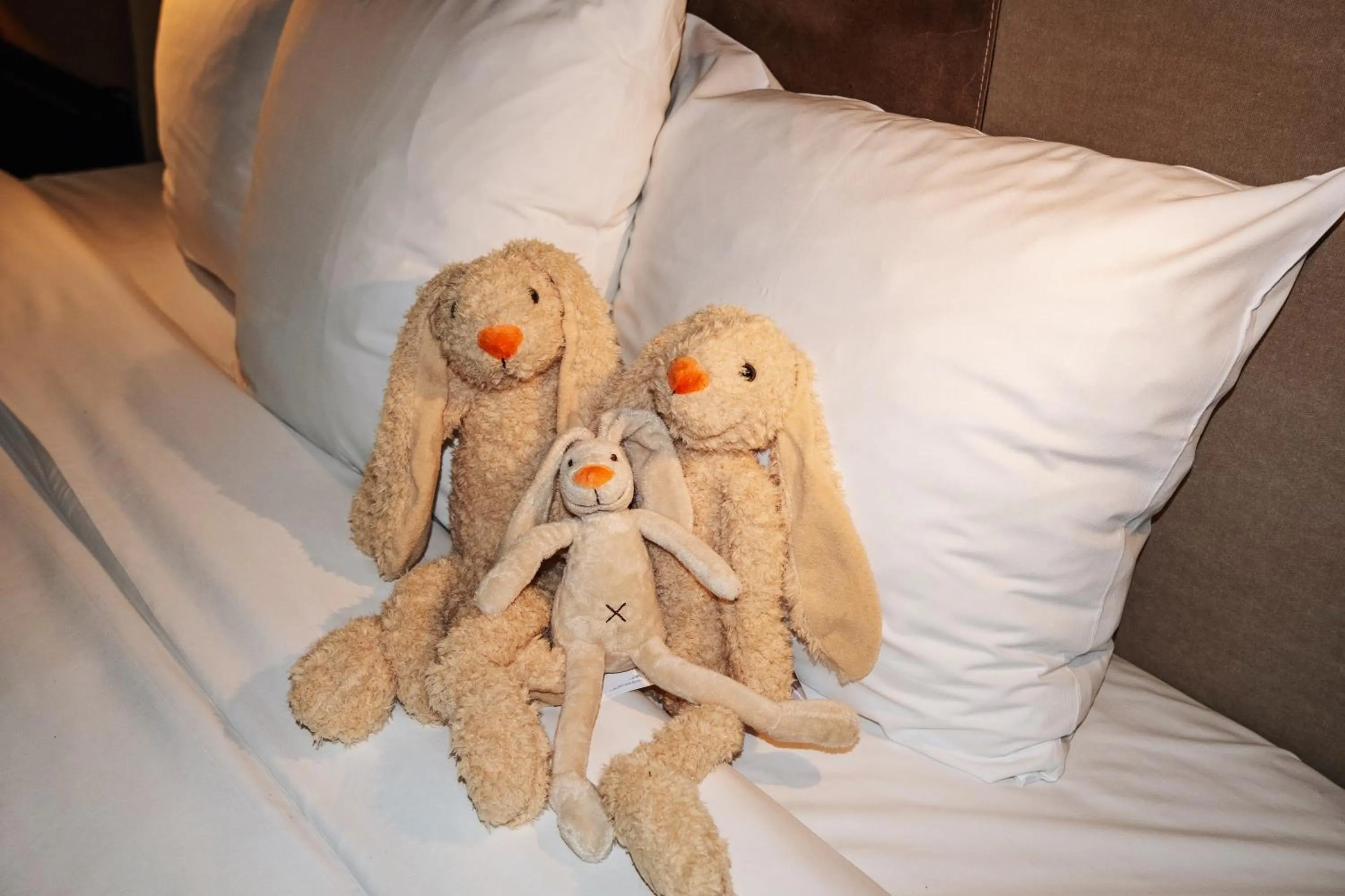 Decorative detail, Bed in City Center Lodge Utrecht