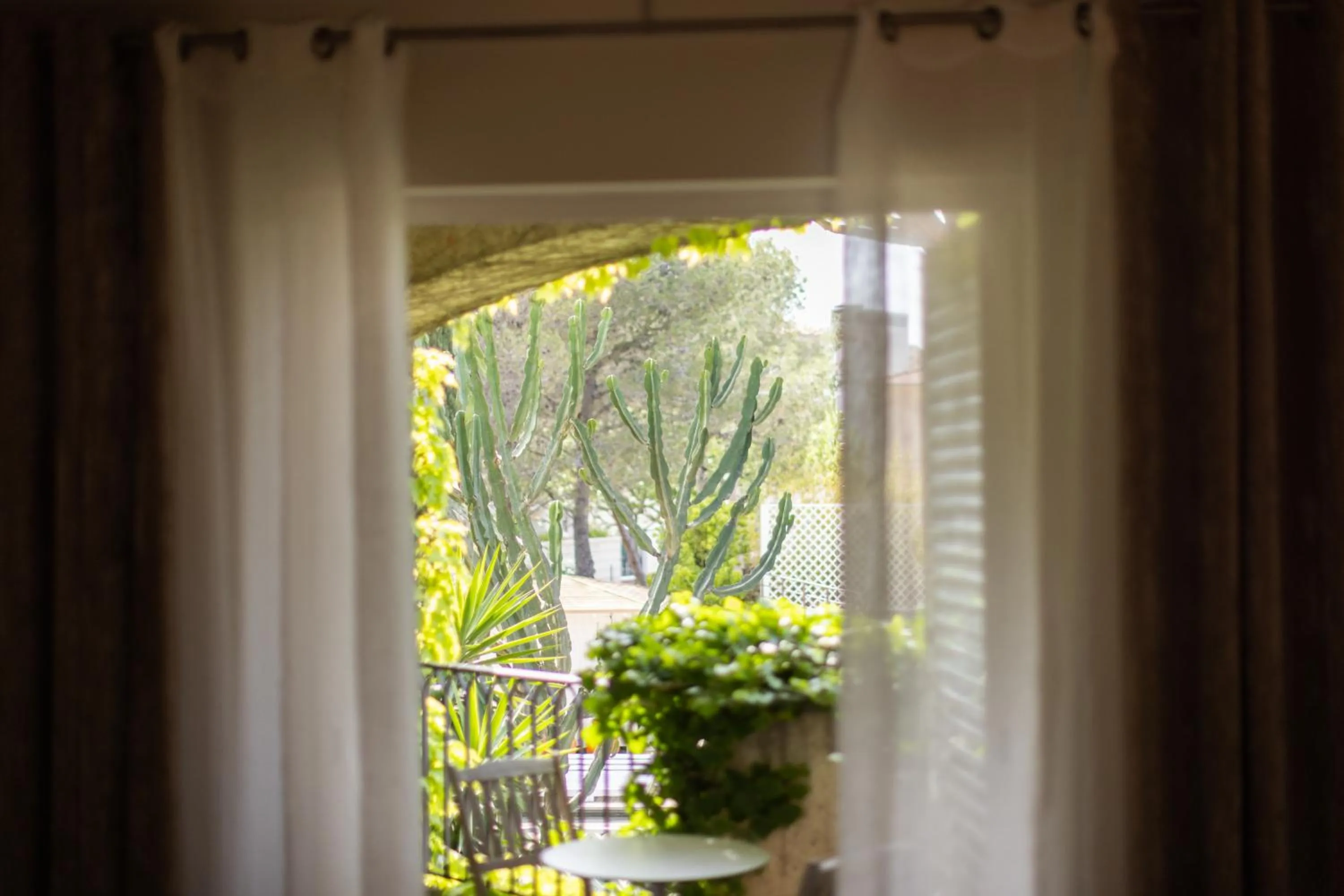 Garden view in Hotel des Lices