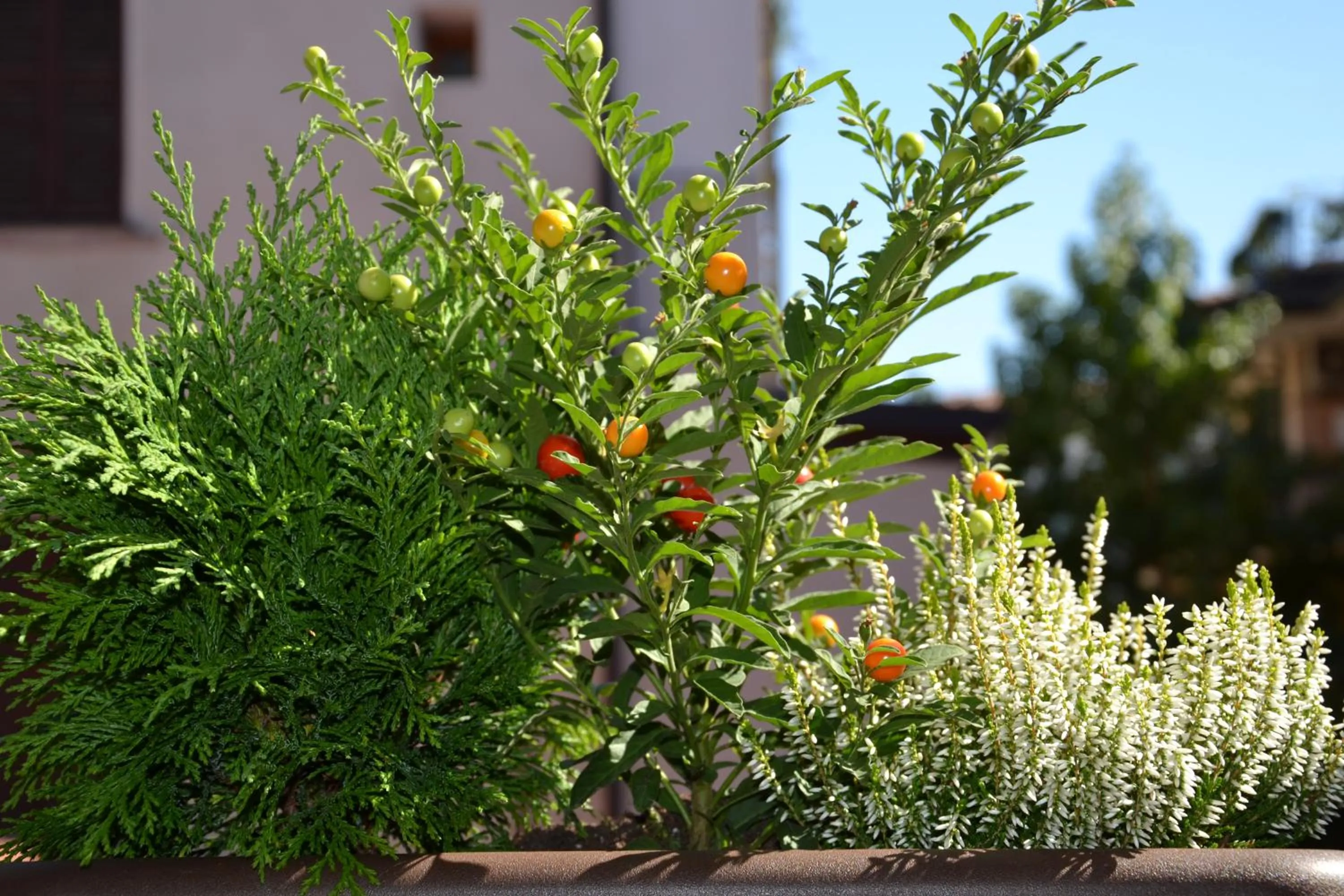 Day in In Centro Charme