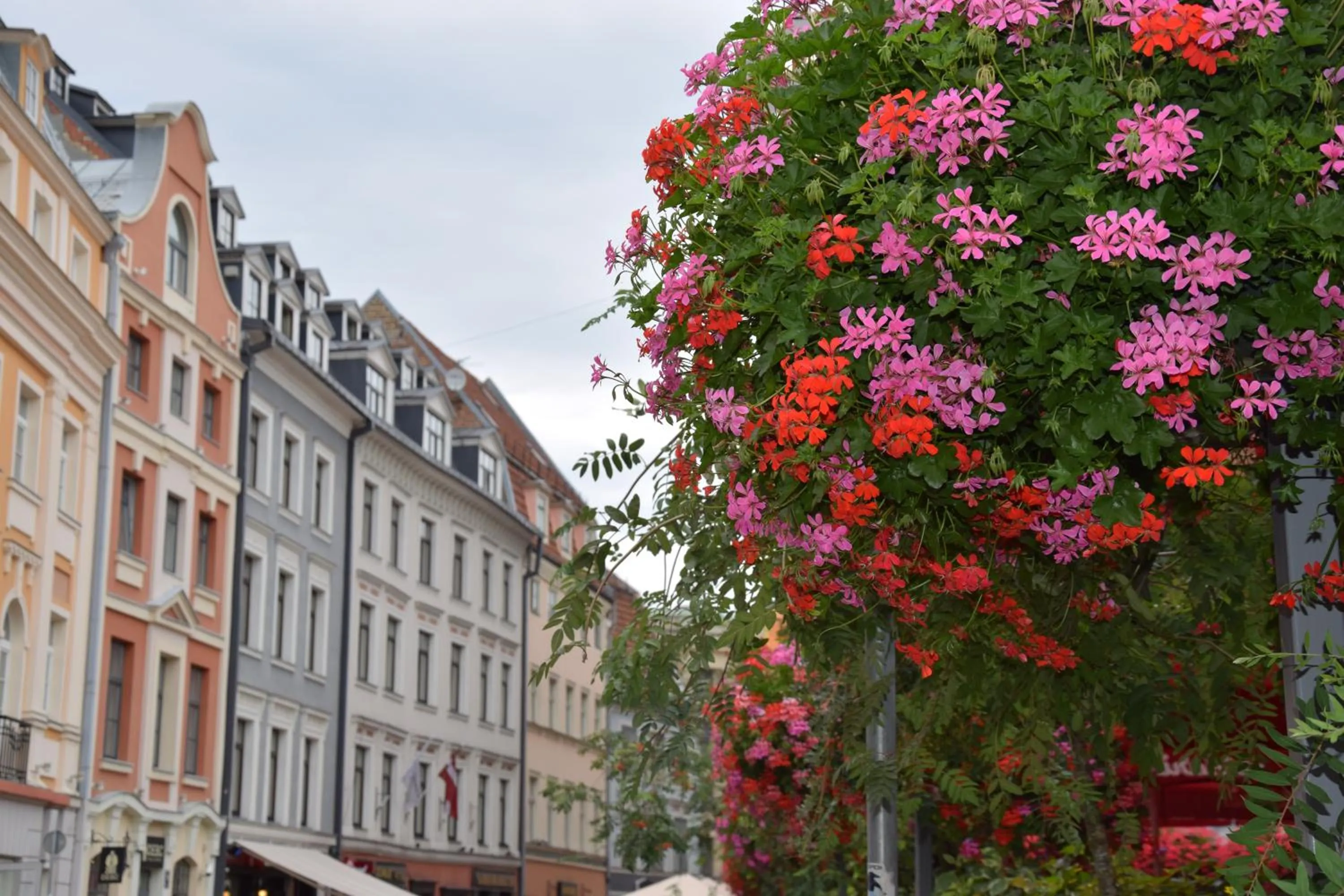 Neighbourhood in Liberty