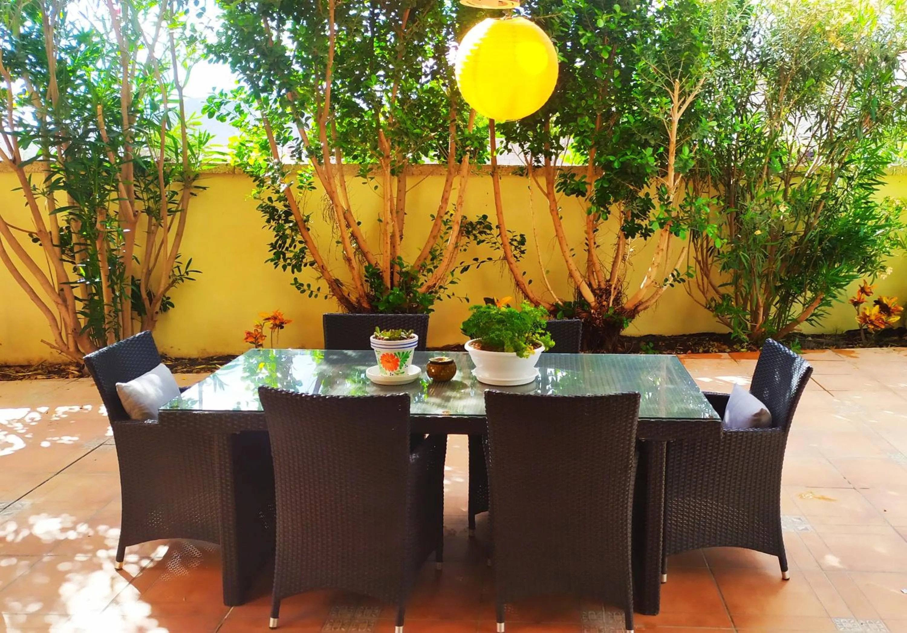 Patio in Casa Viera
