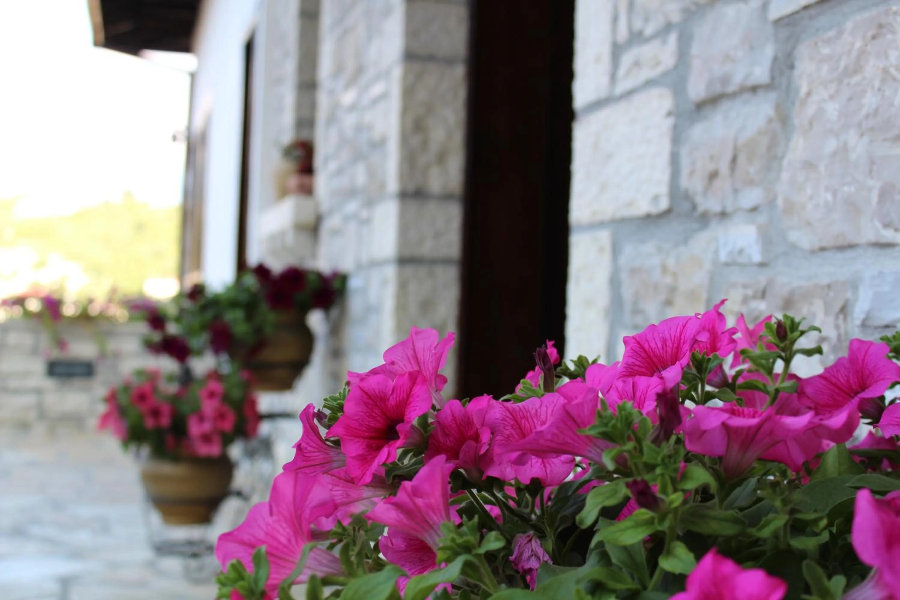 Staff in Hotel Vila Aleksander