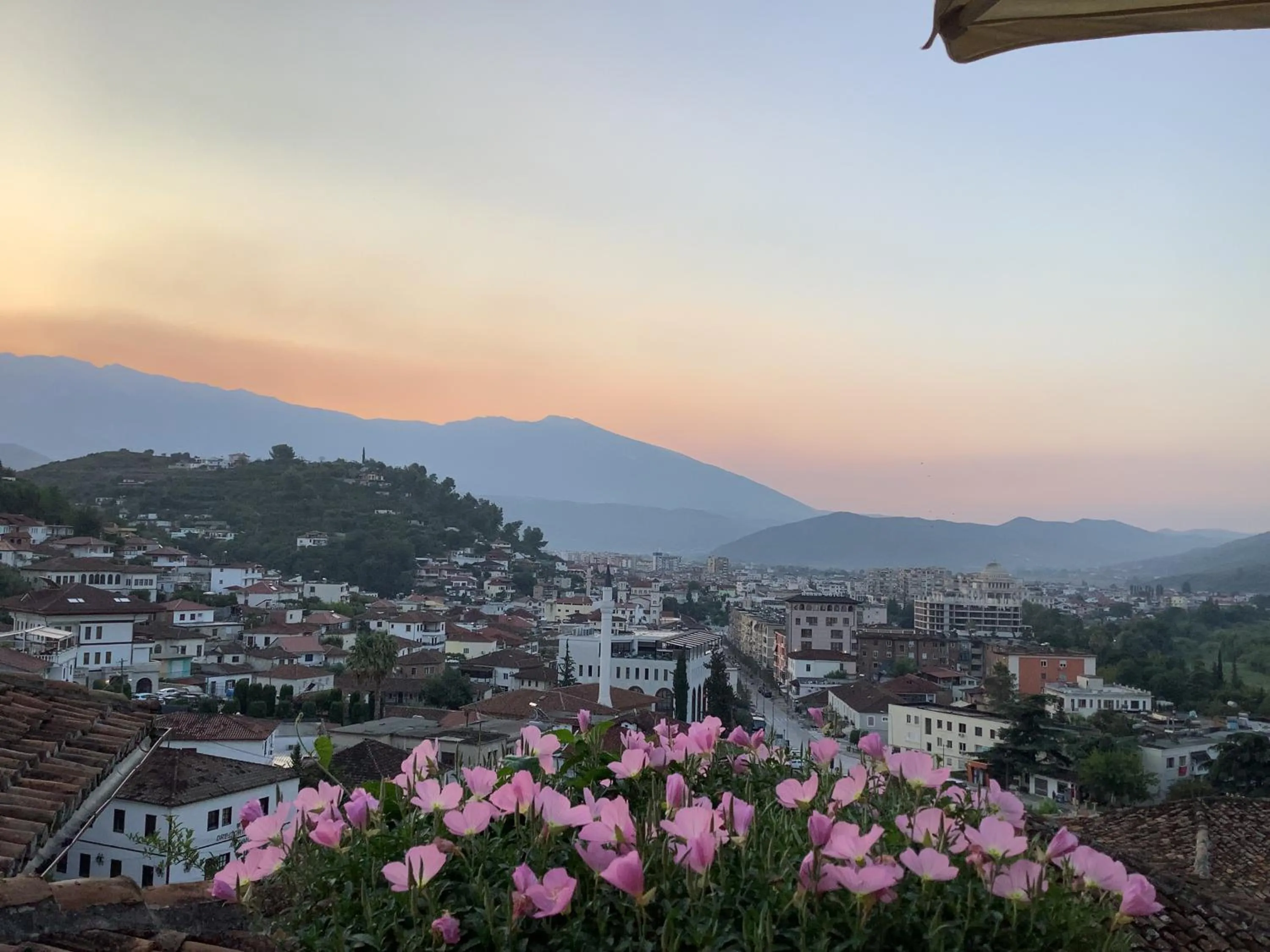 Hotel Vila Aleksander