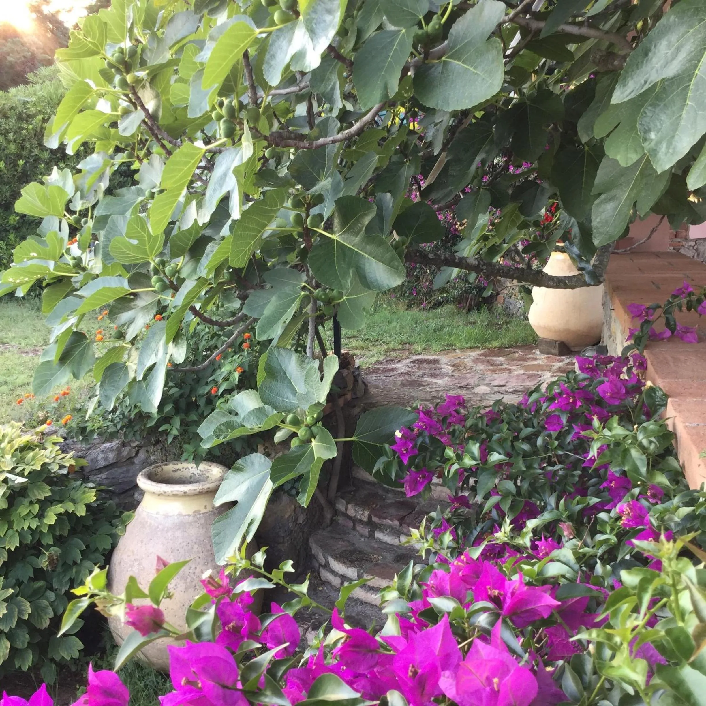 Property building in B&B Le Palme