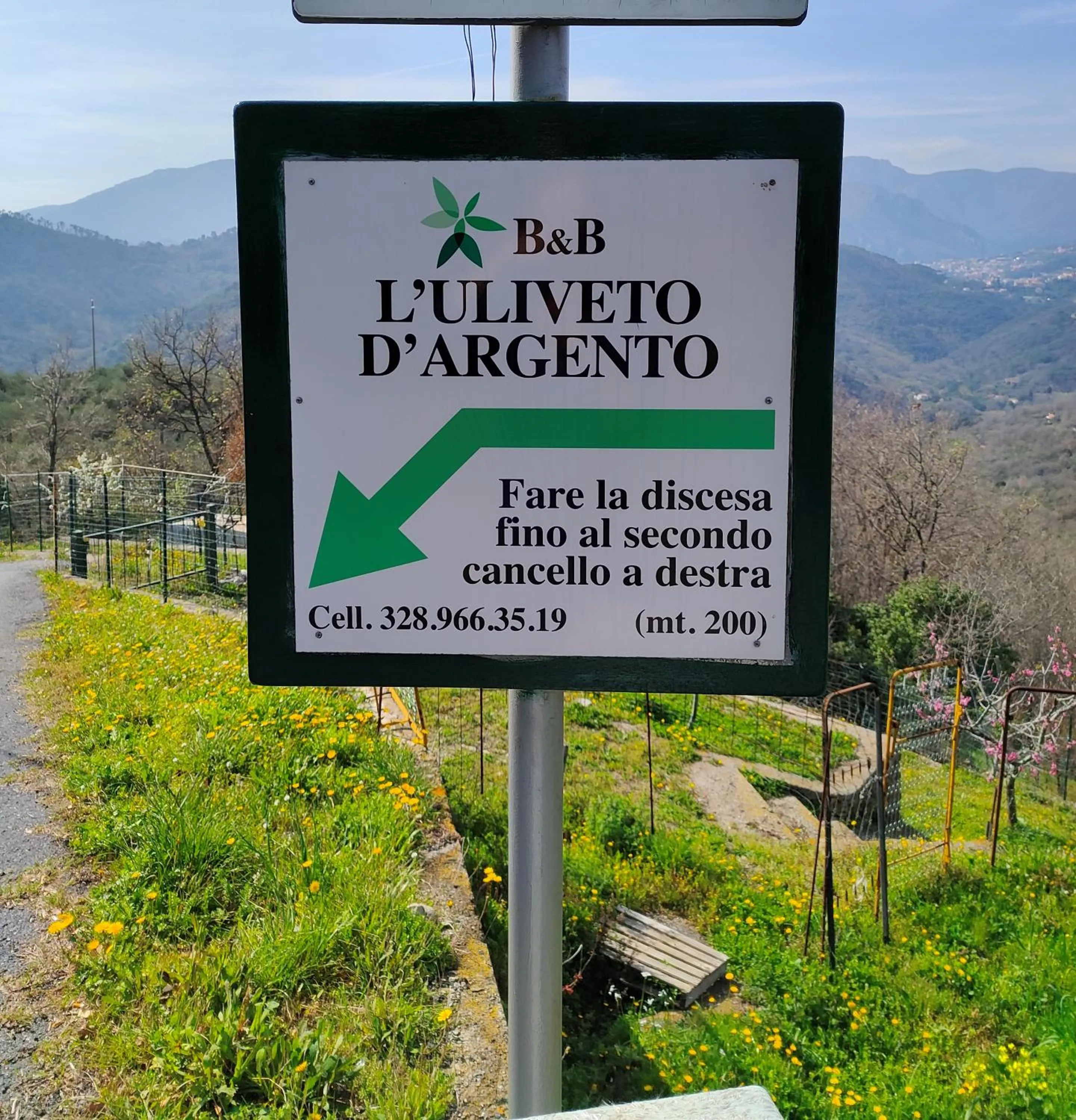 L'Uliveto D'Argento