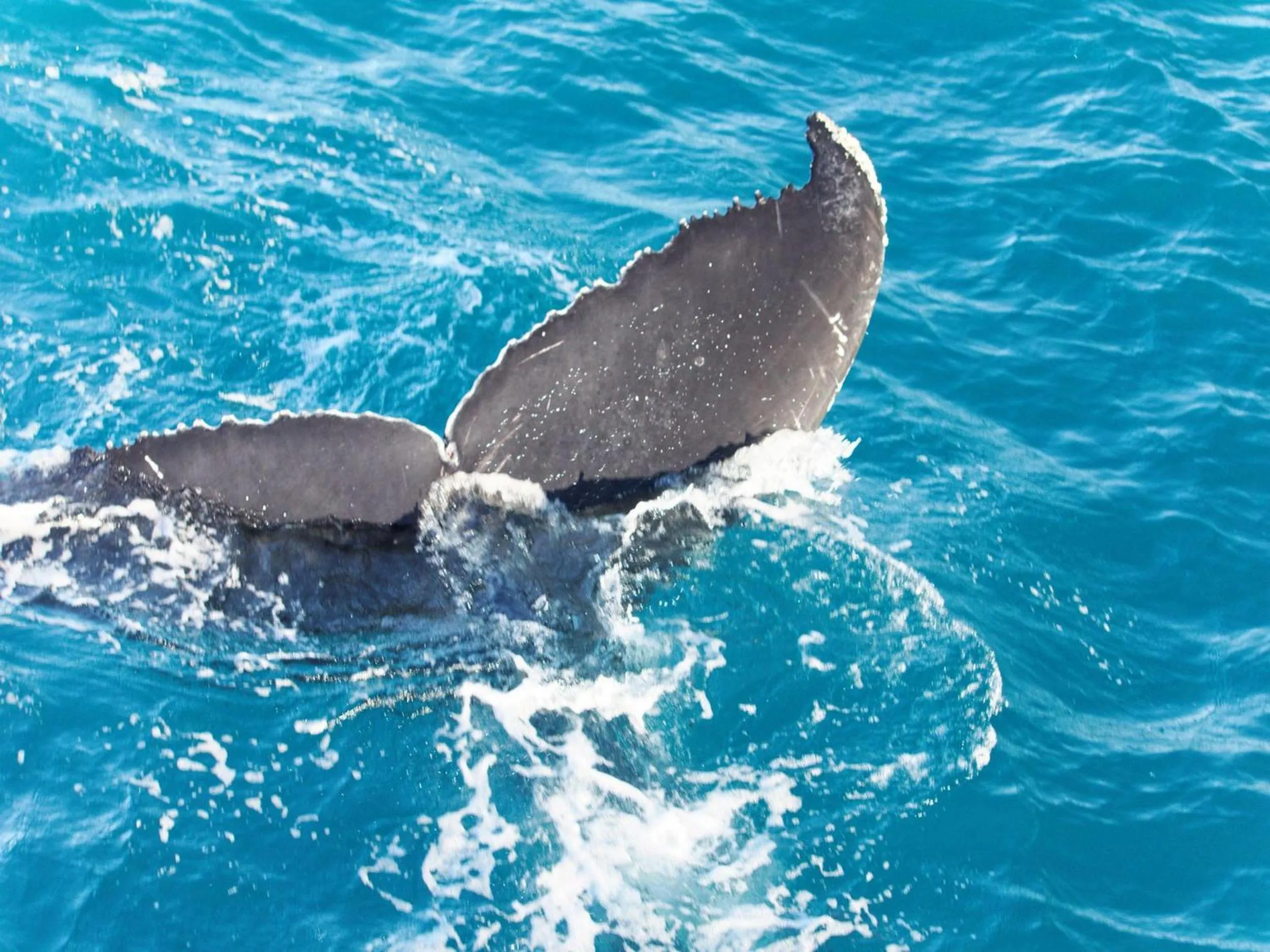 Diving in Pousada Casa de Maria