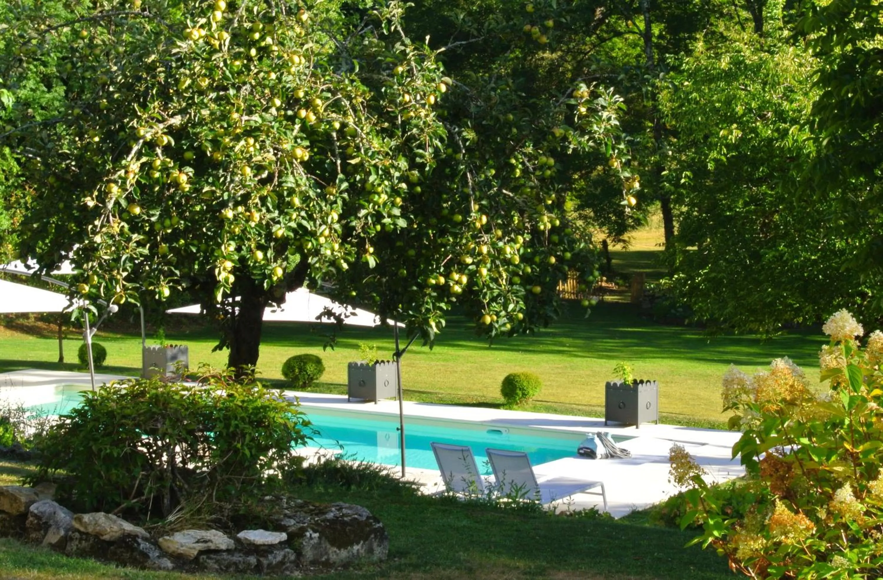 Garden view in Chambre d'hôtes Au jardin de la Bachellerie