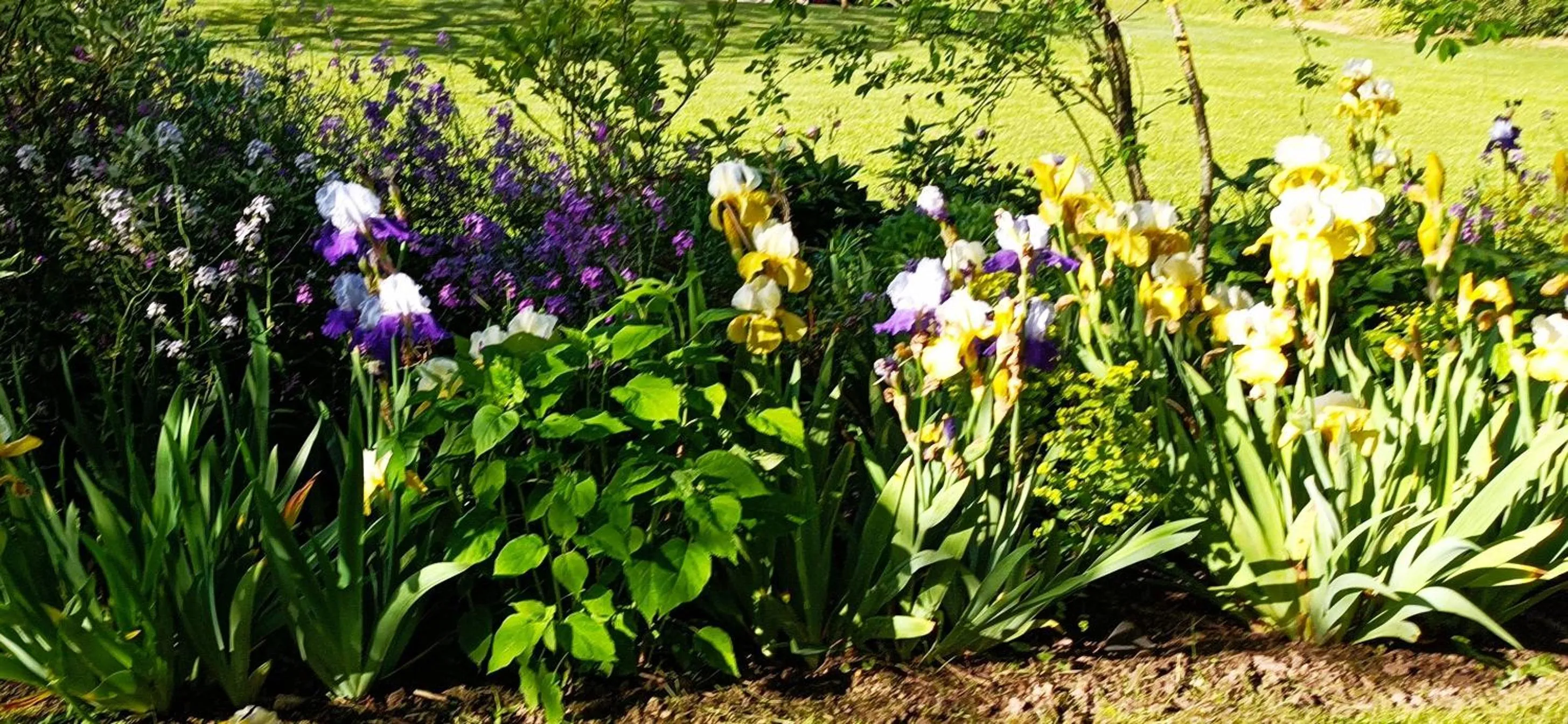 Garden in Chambre d'hôtes Au jardin de la Bachellerie