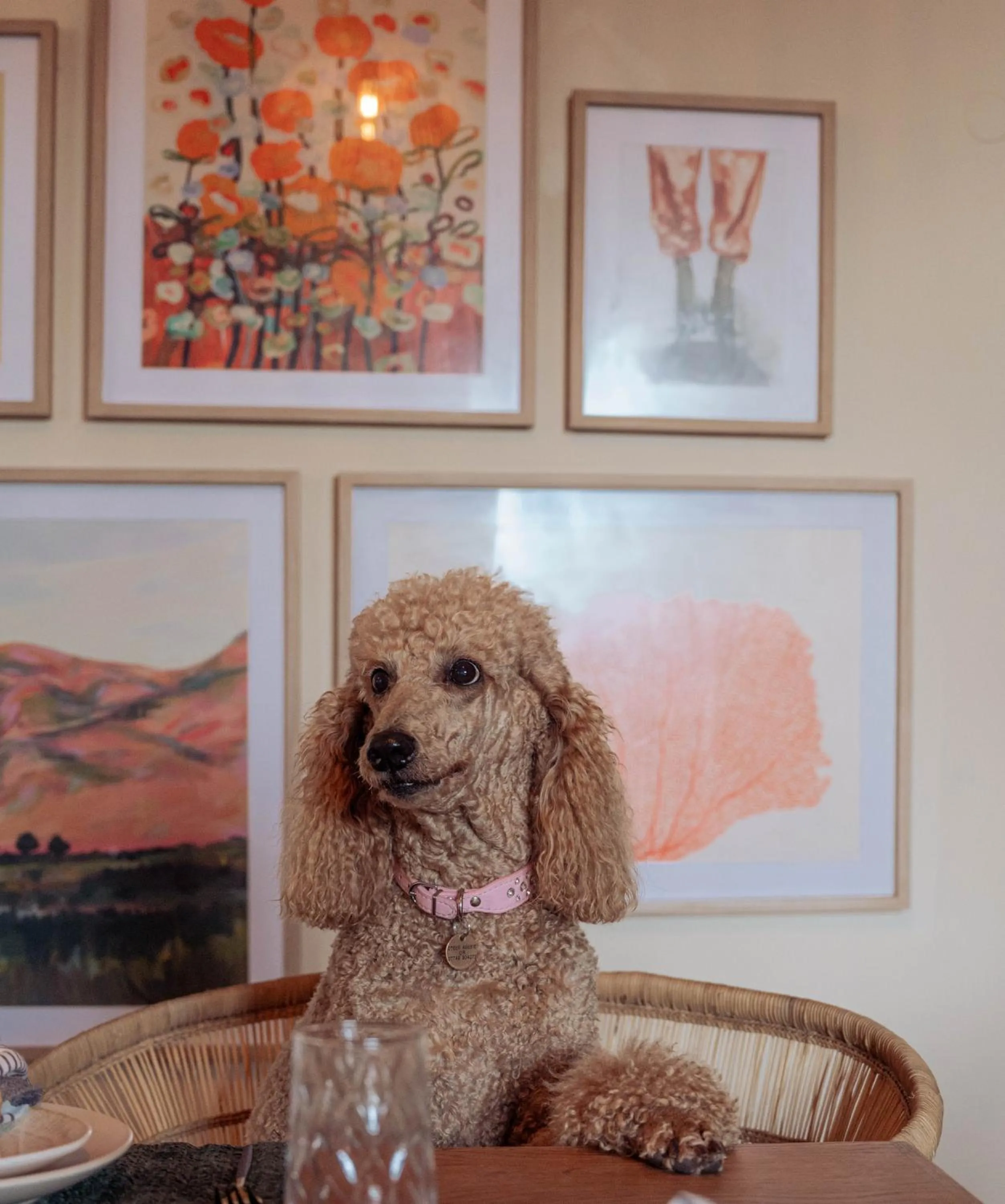 Stoep By Ideas Cartel