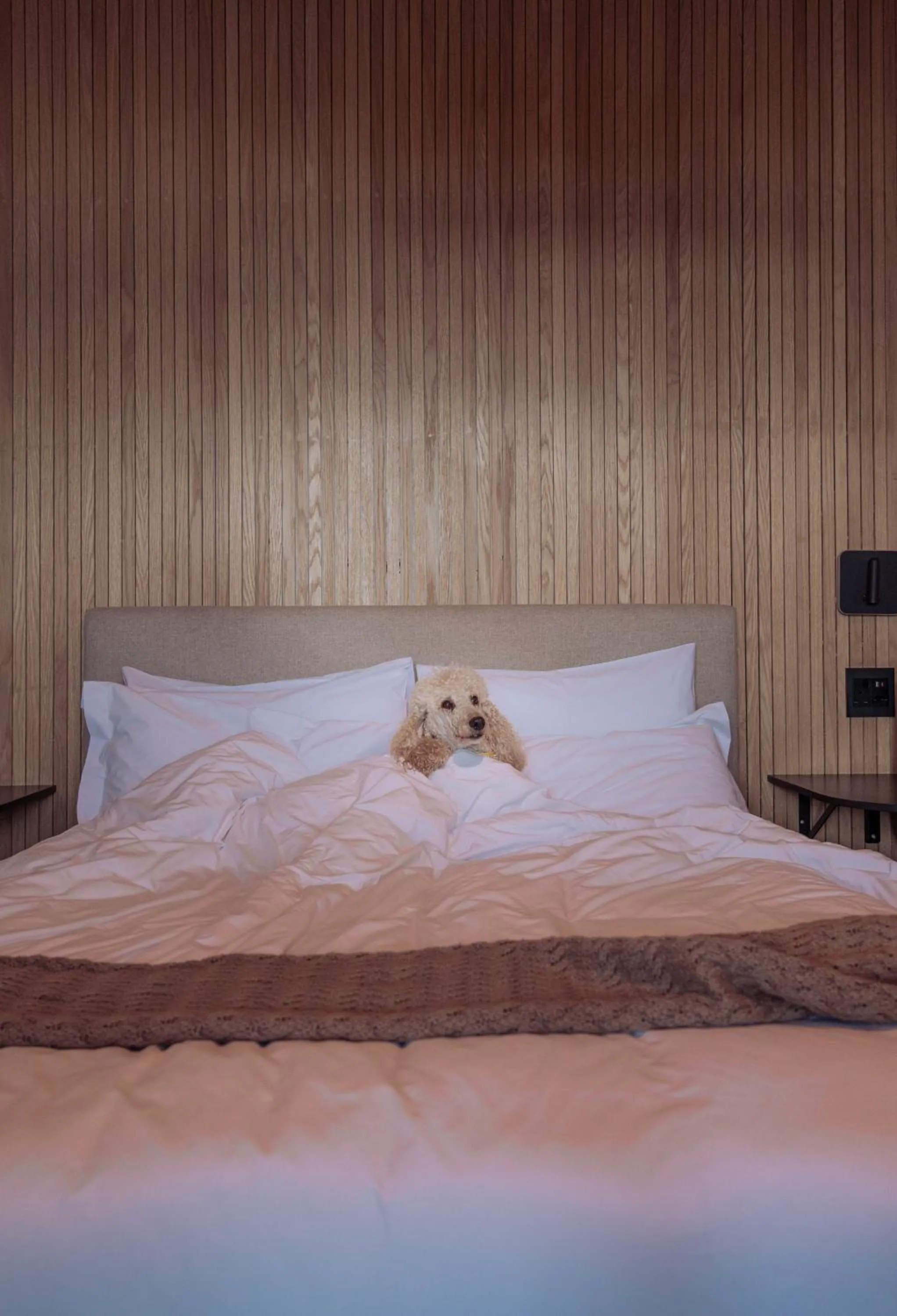 Bed in Stoep By Ideas Cartel