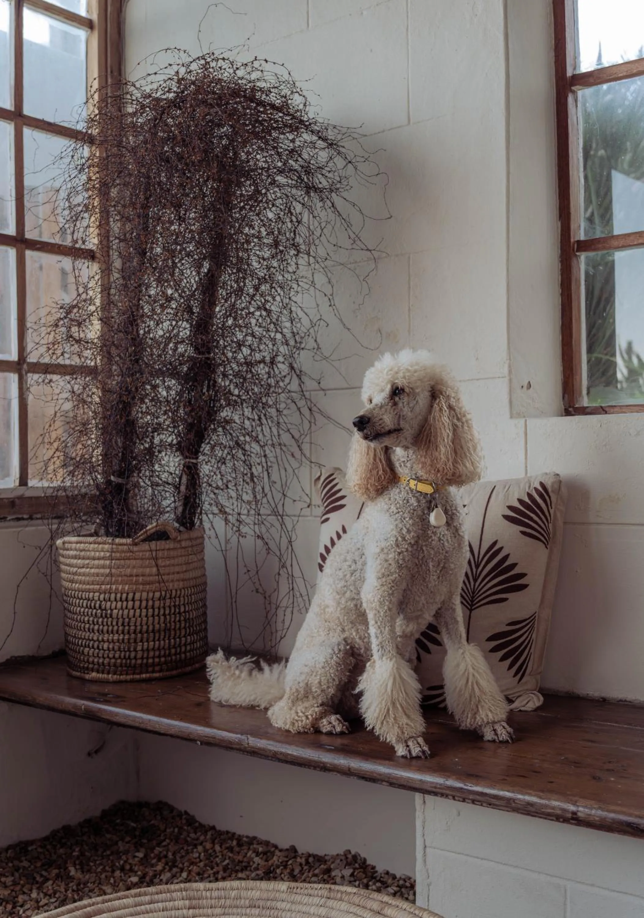 Stoep By Ideas Cartel