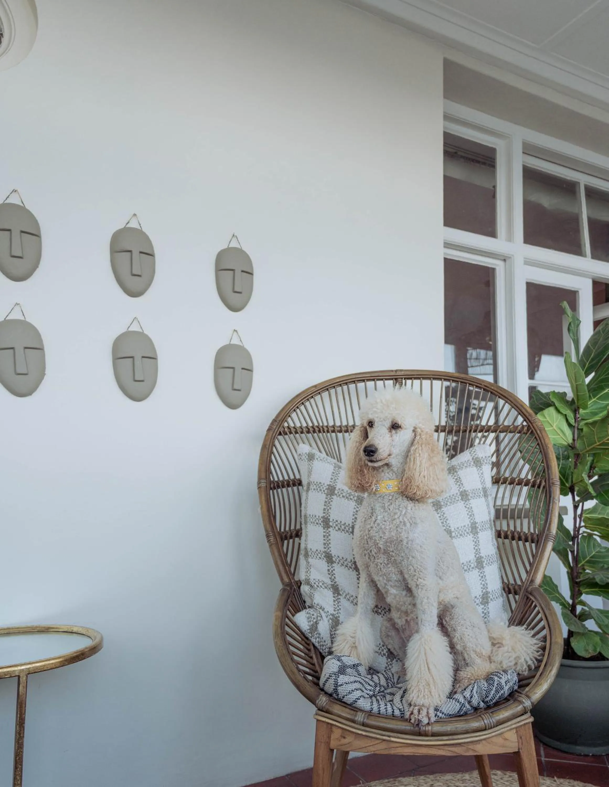 Stoep By Ideas Cartel