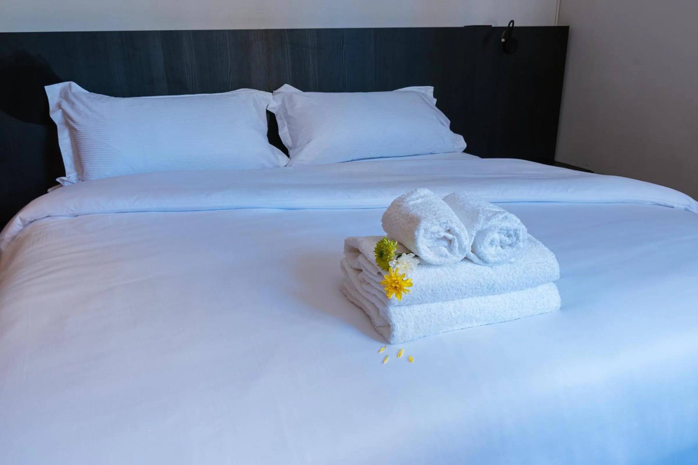 Bed in Main By Babel