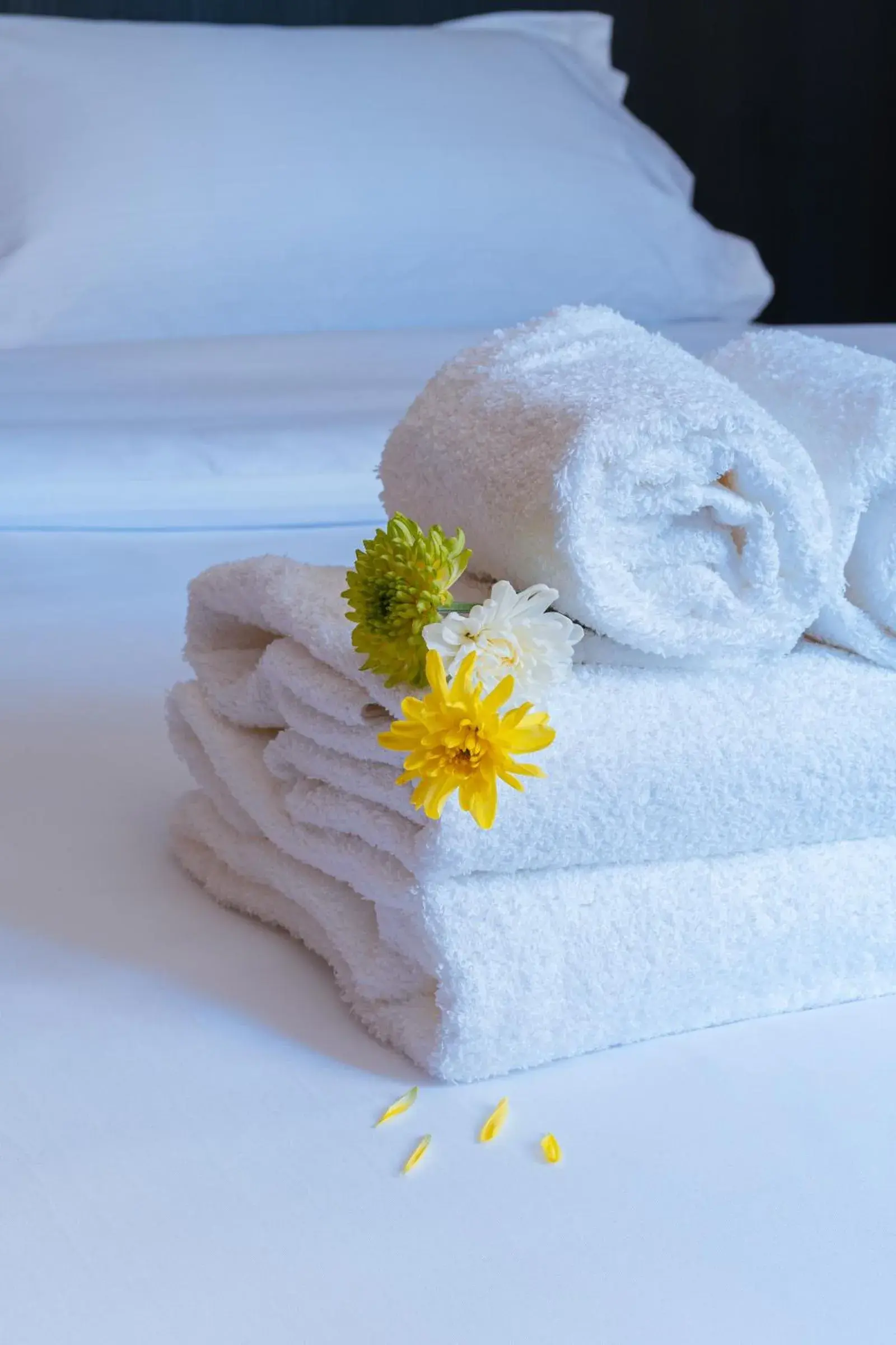 Bed in Main By Babel Bed in Main By Babel