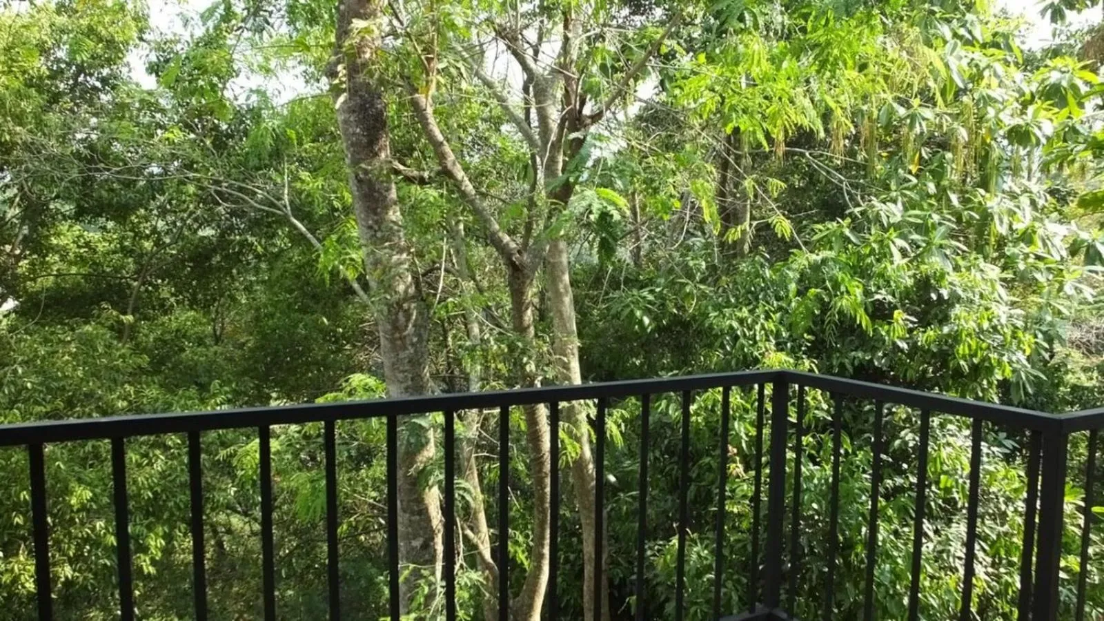 Balcony/Terrace in Villa Arunalu Kandy