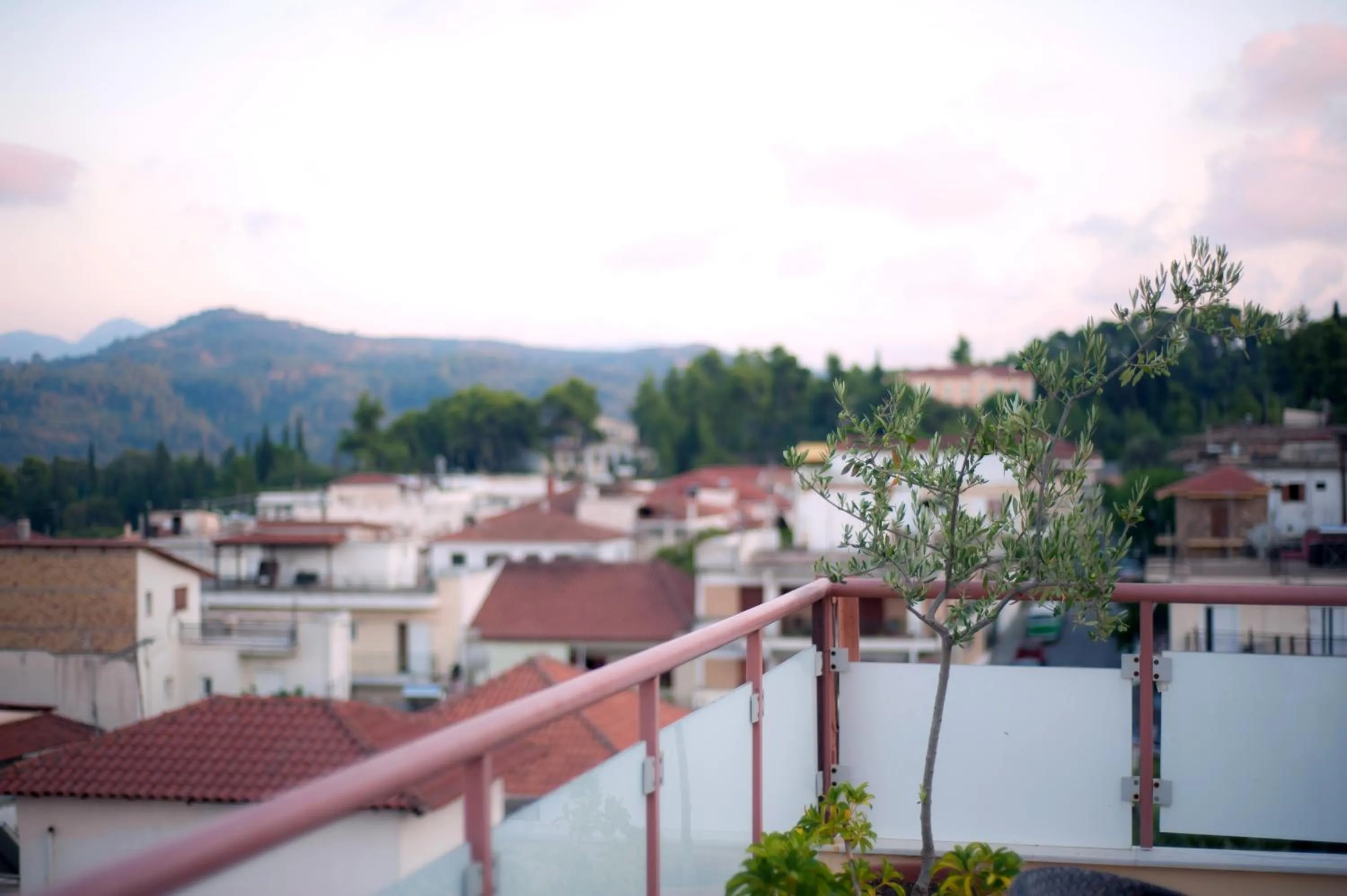 View (from property/room) in Neda Hotel