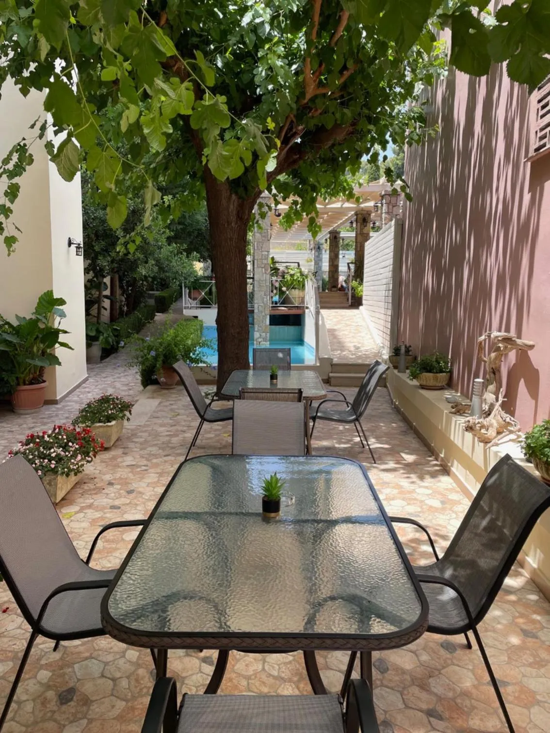 Garden view in Neda Hotel