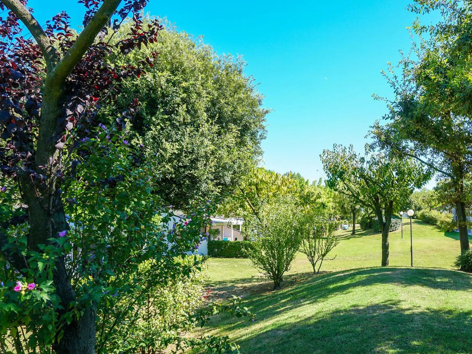 Garden view in Portofelice Camping Village