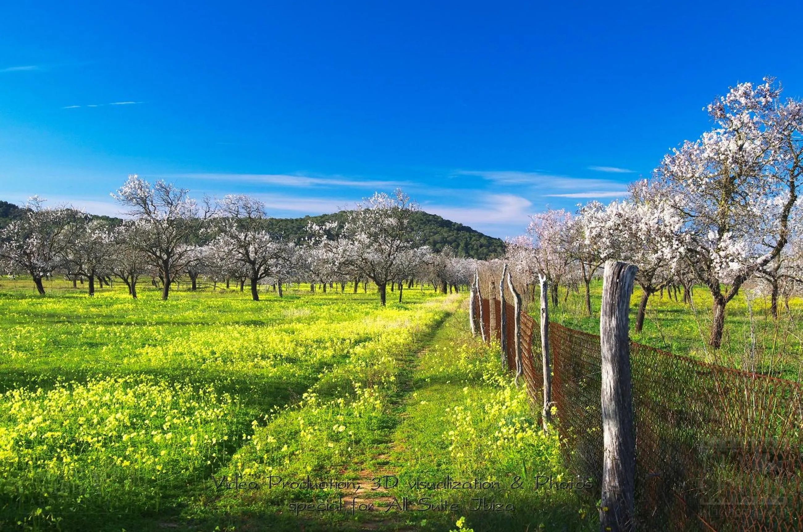 Natural landscape in All Suite Ibiza Aparthotel