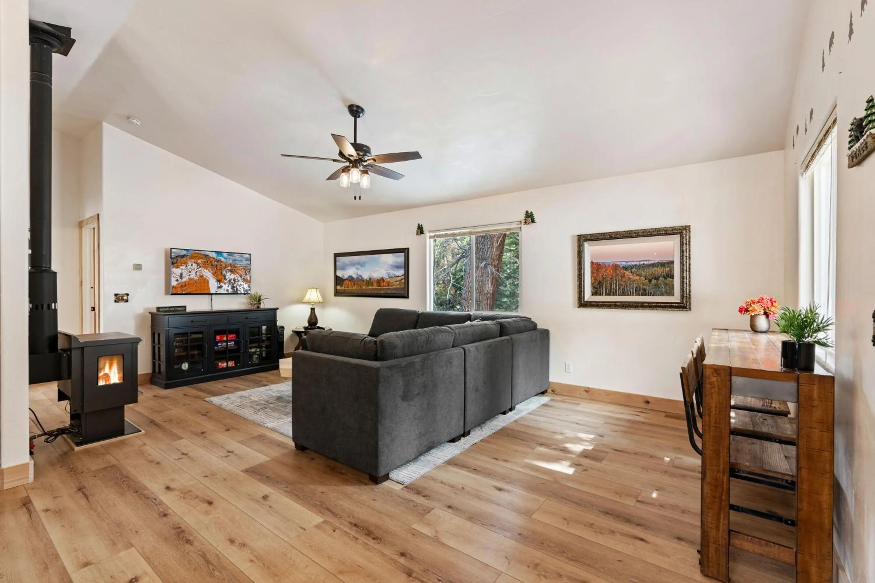 TV and multimedia in Duck Creek Village Inn