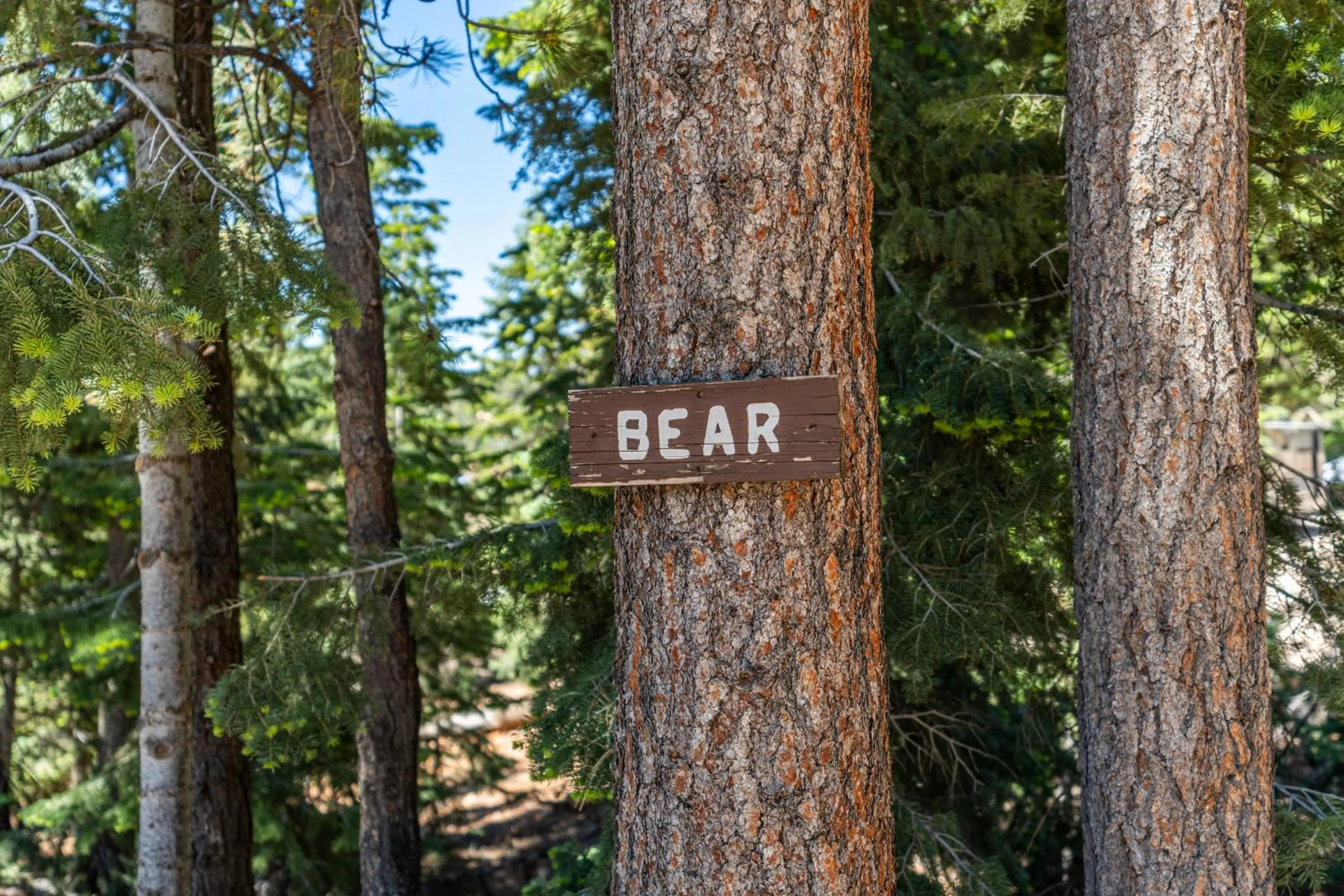 Day in Duck Creek Village Inn