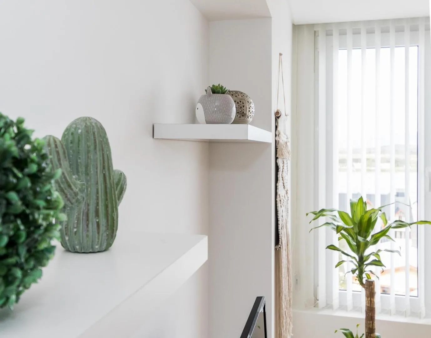 Photo of the whole room in Pacifico Apartamentos