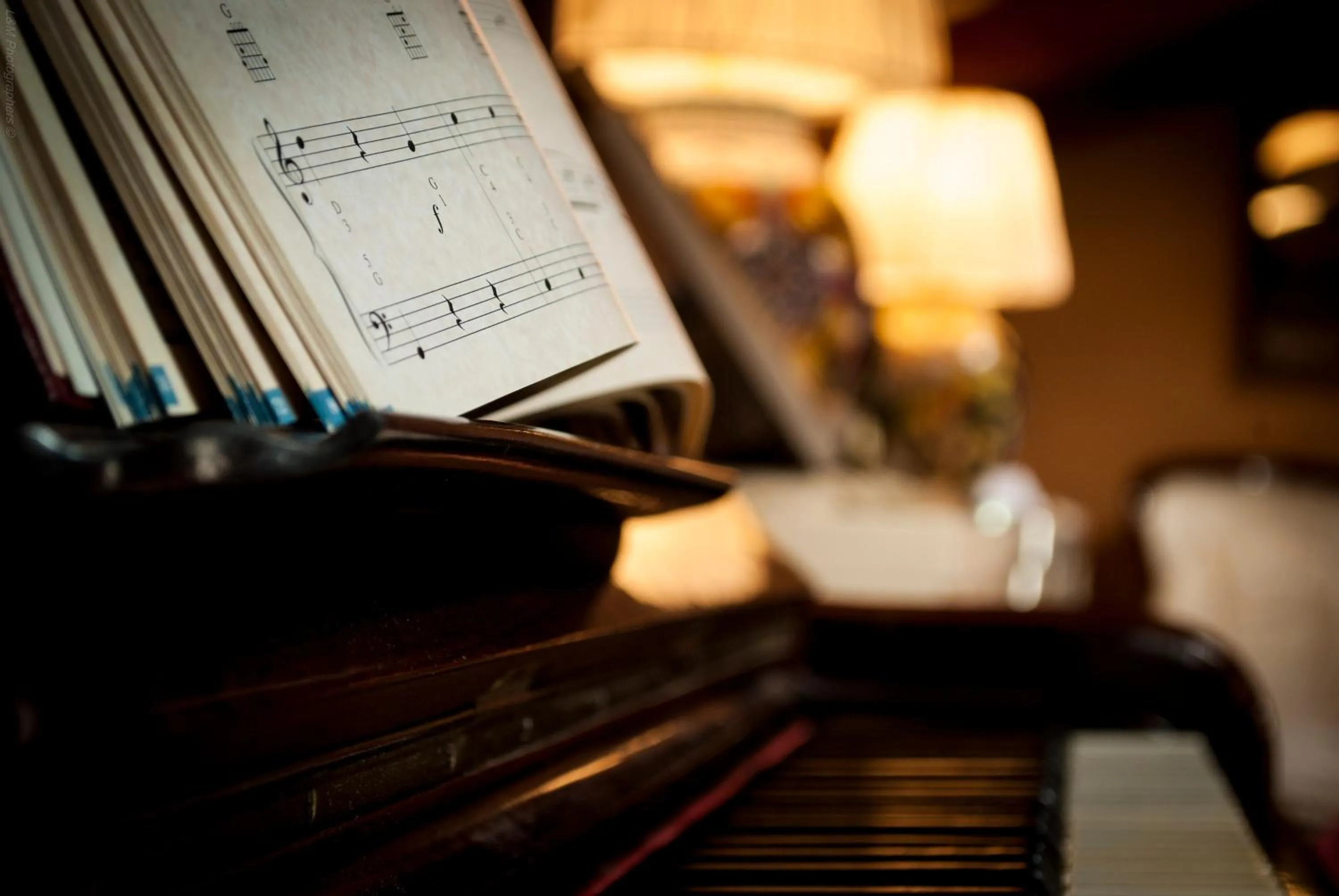 Decorative detail in L'Incanto