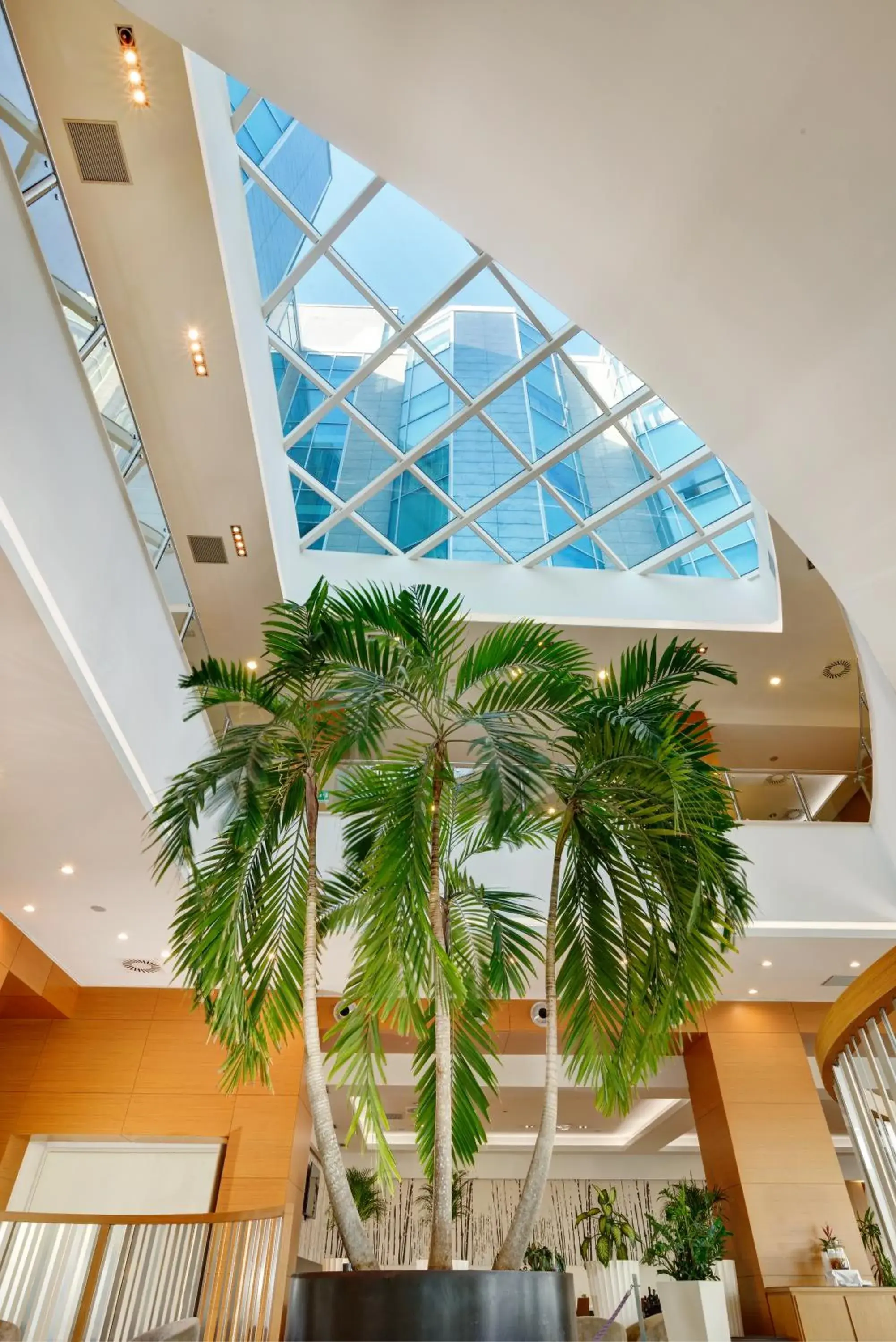 Lobby or reception in Hotel Diamante Lobby or reception in Hotel Diamante