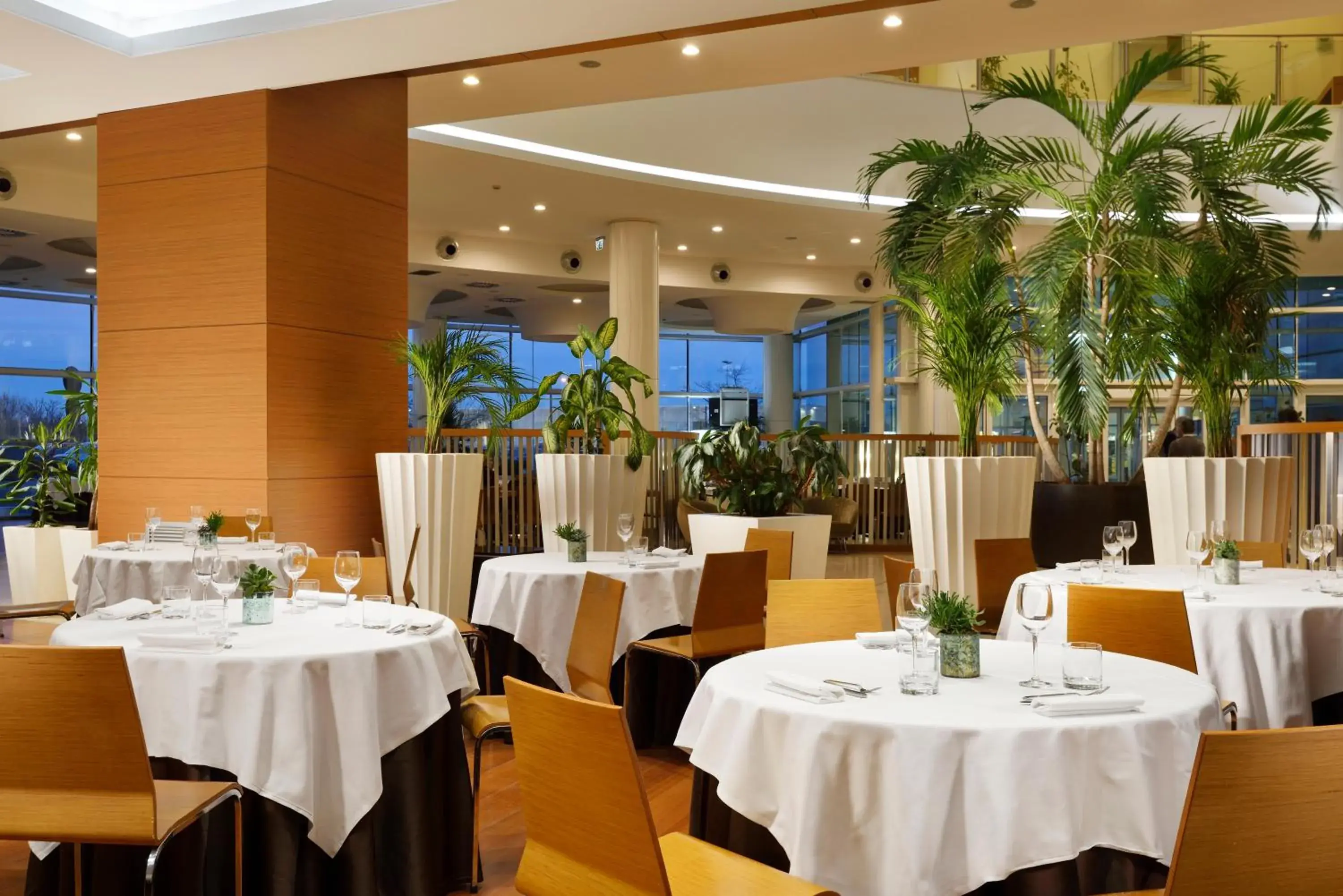 Restaurant/places to eat in Hotel Diamante Restaurant/places to eat in Hotel Diamante
