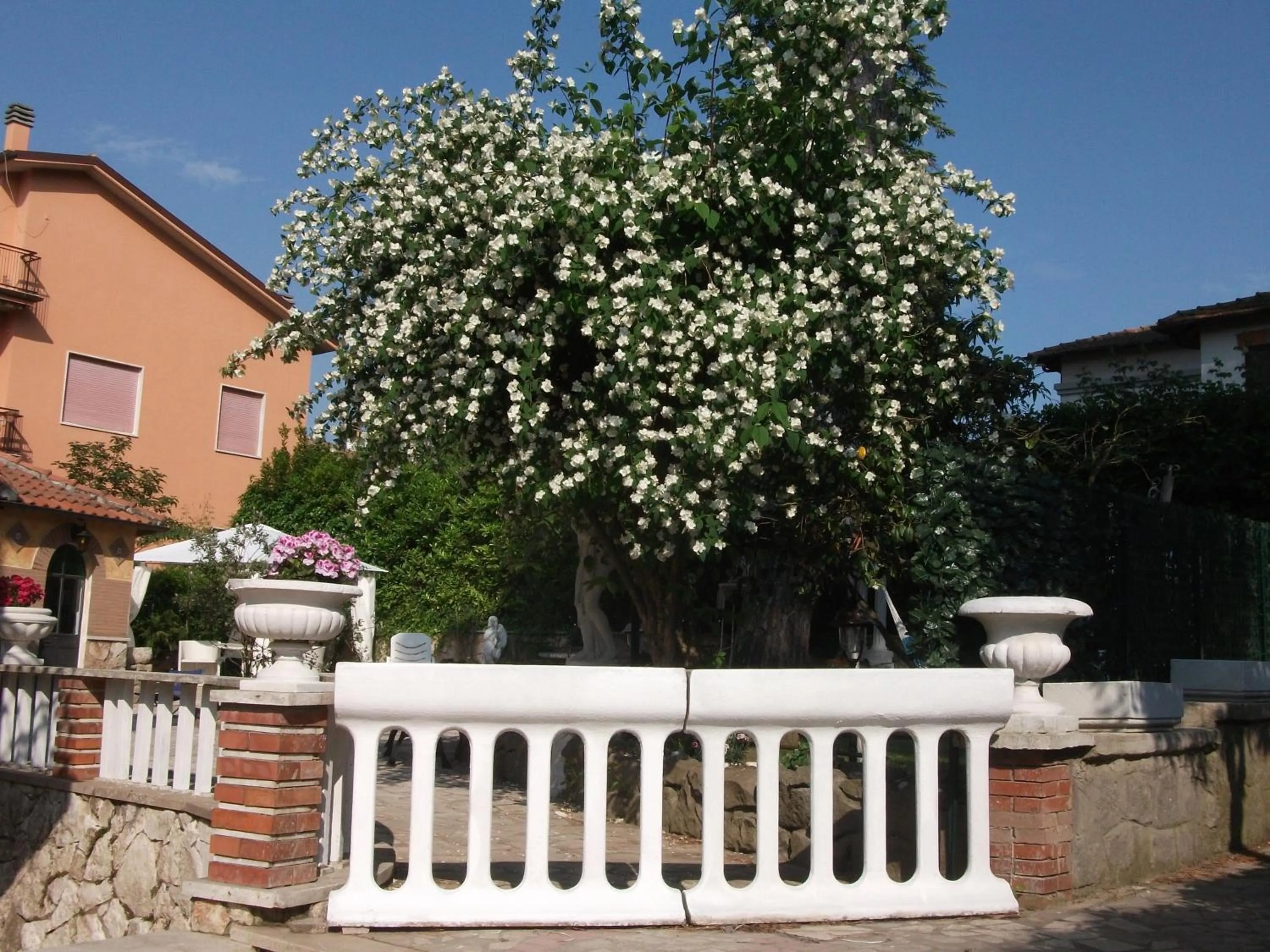 Garden in B&B Vittoria Colonna