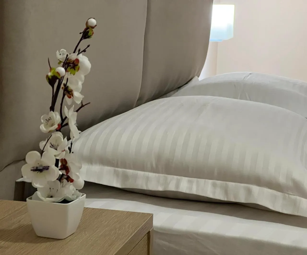 Enzo Hotel near Lake Tirana