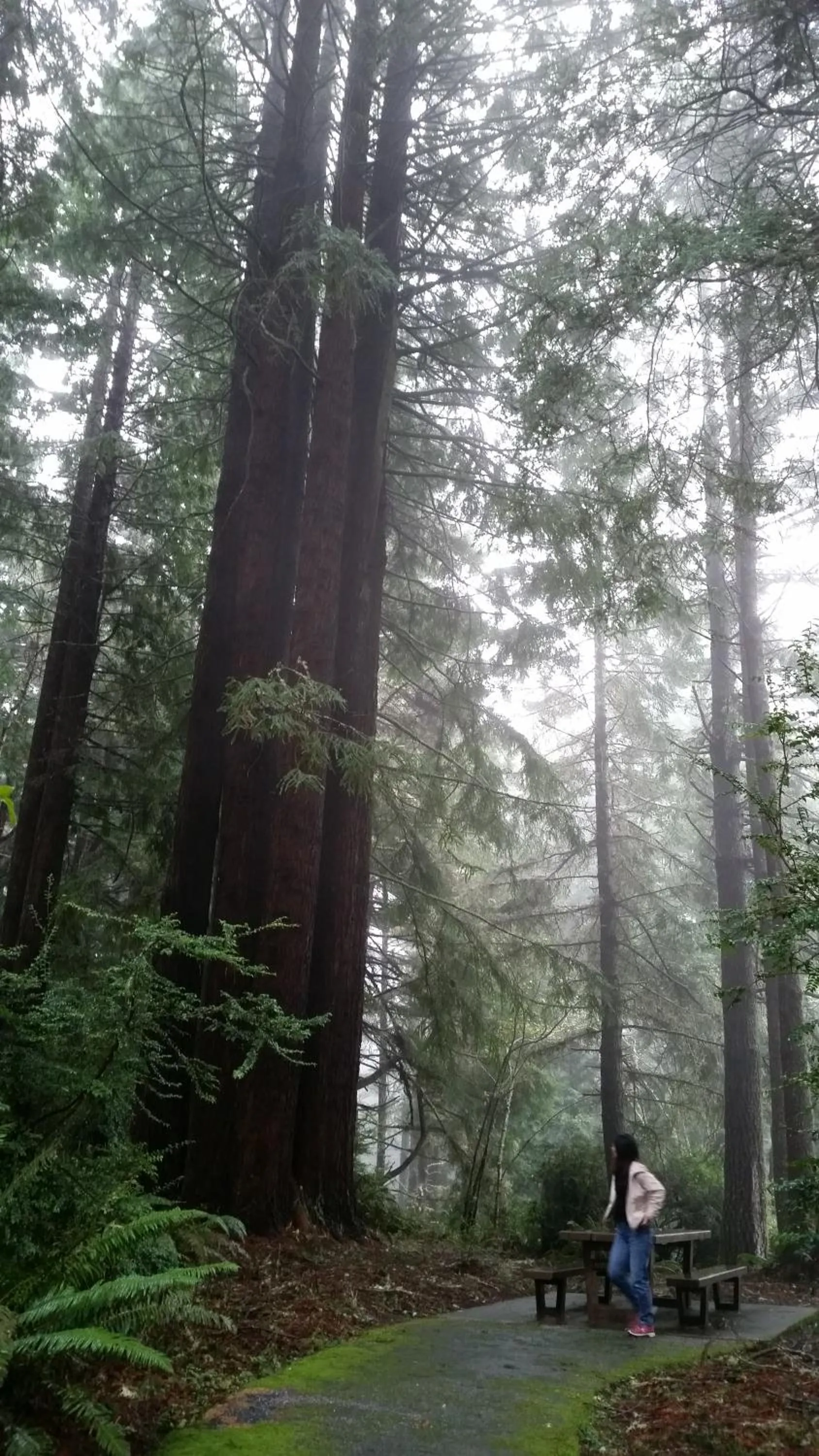 Hiking in Arky's B&B