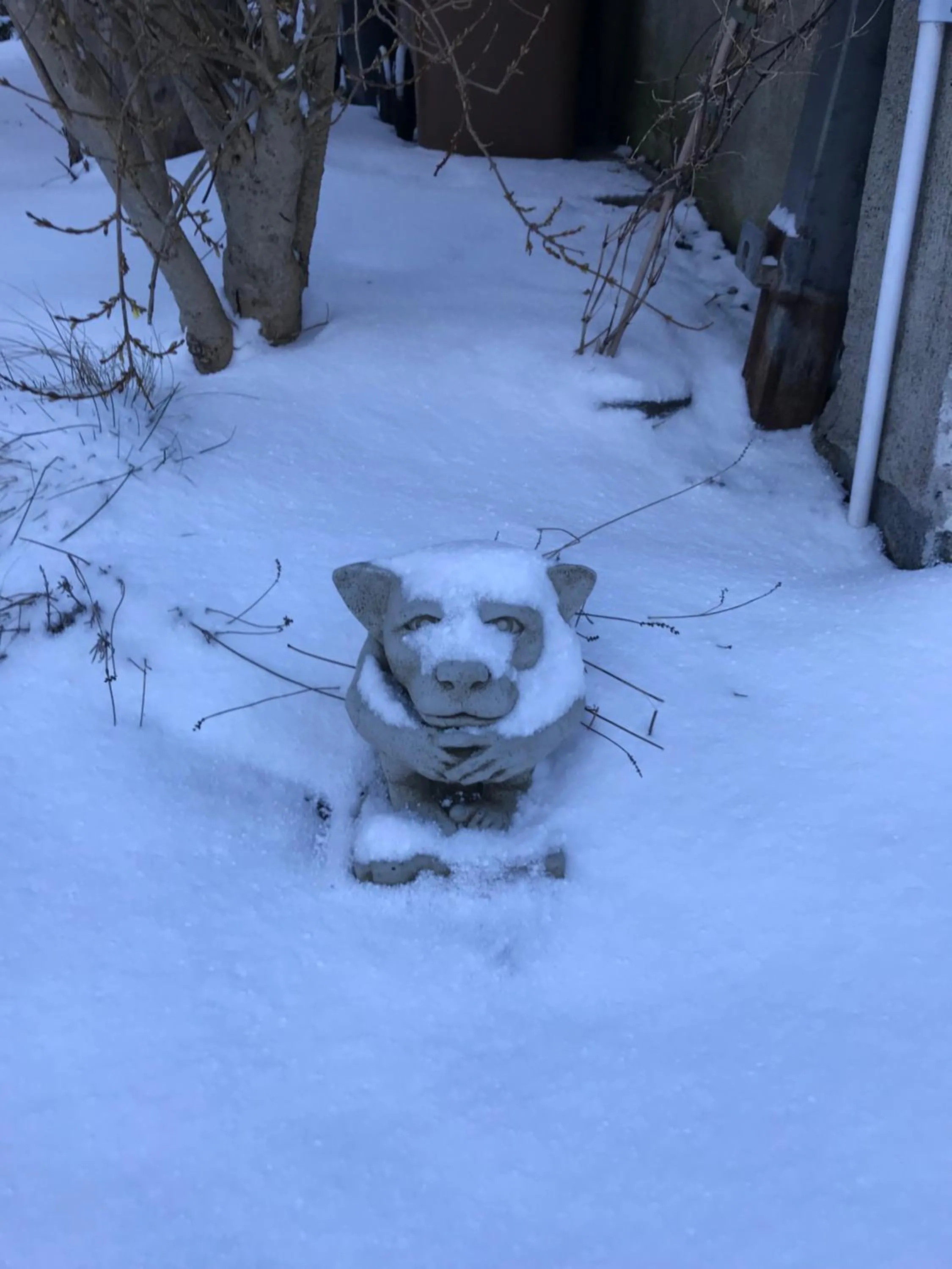 Winter in The Artist Residence Dublin Boutique B&B