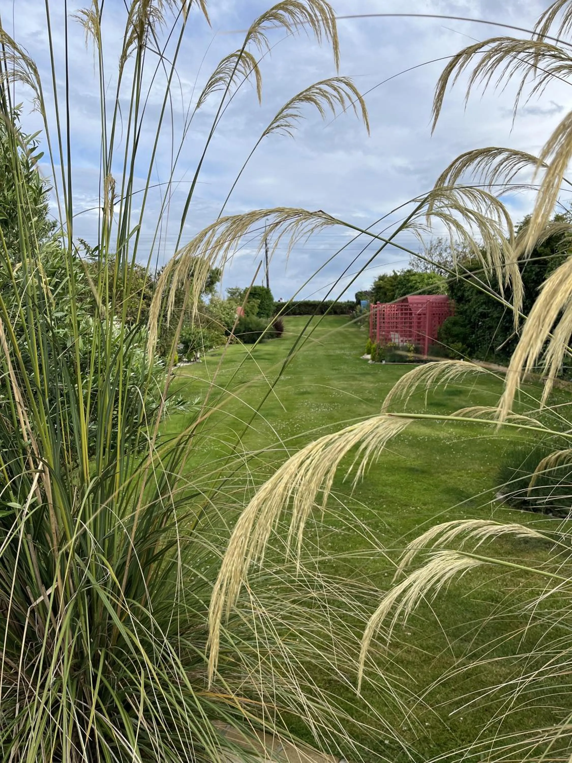 Garden in The Artist Residence Dublin Boutique B&B
