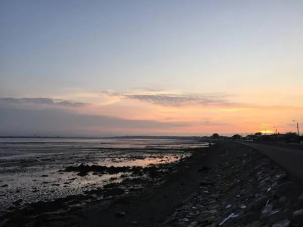 Natural landscape in The Artist Residence Dublin Boutique B&B