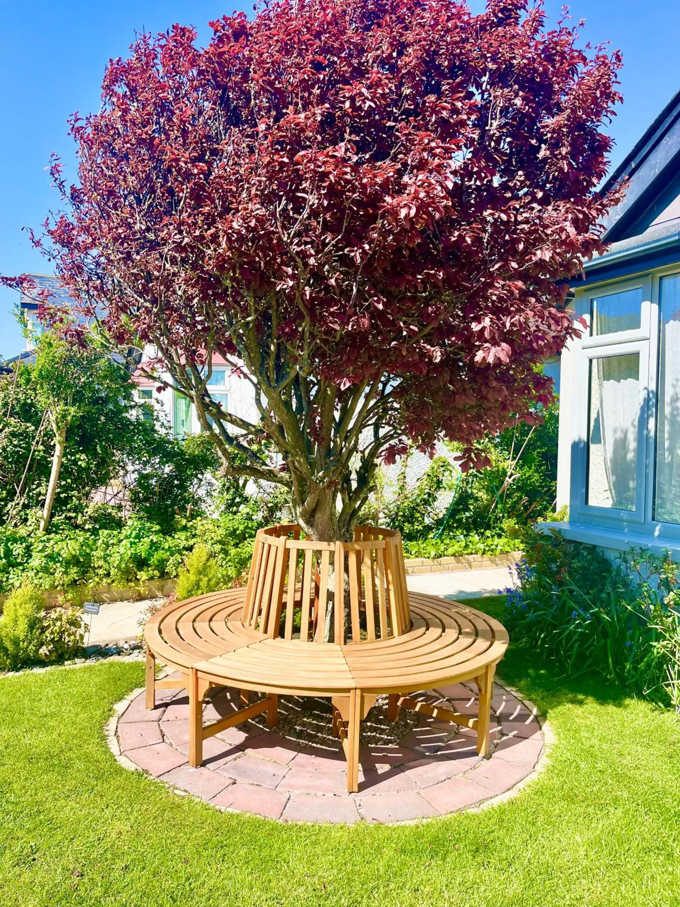 Garden in The Artist Residence Dublin Boutique B&B