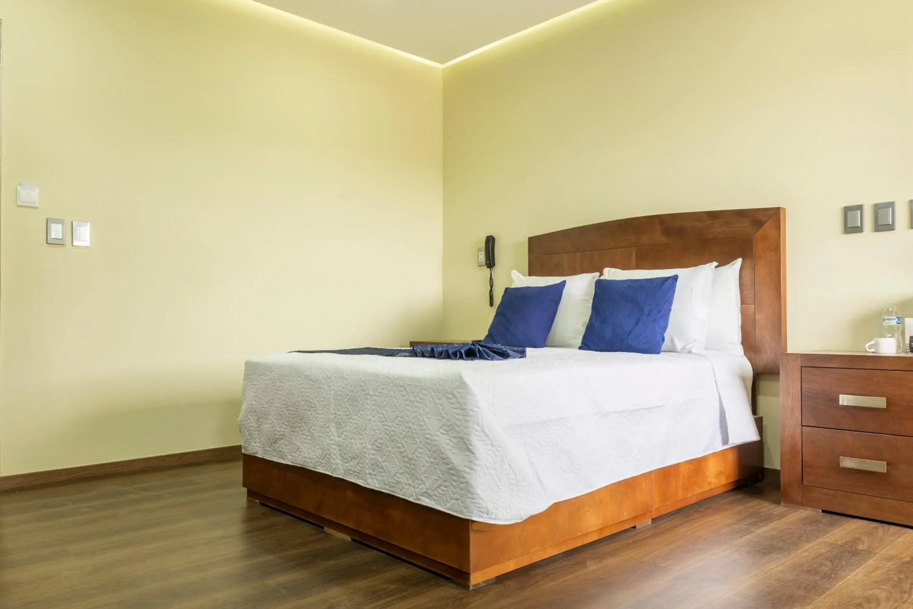 Double Room in MC HOTEL Saldarriaga Querétaro Double Room in MC HOTEL Saldarriaga Querétaro