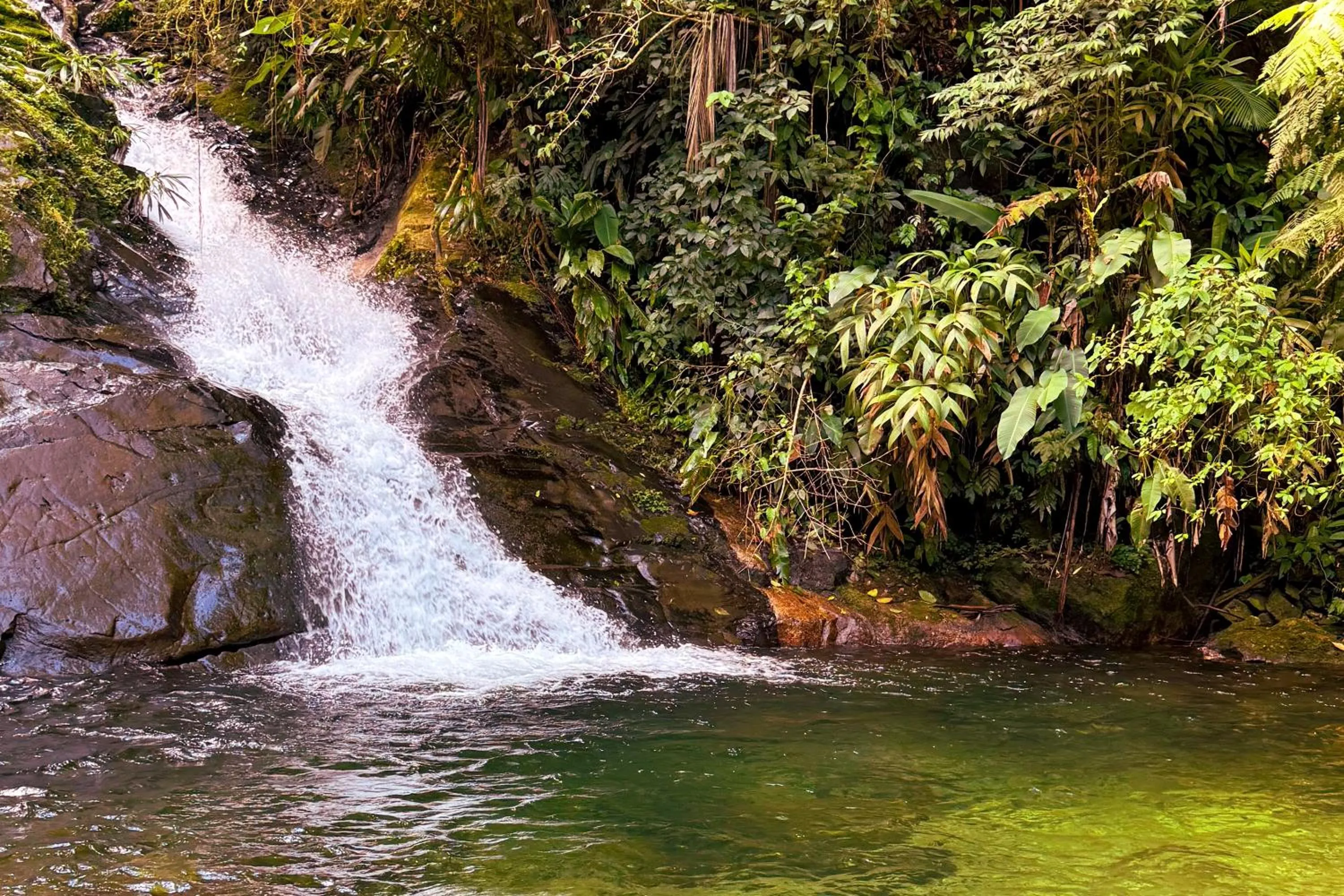 Activities in Smart Hotel Pousada Reserva Camburi