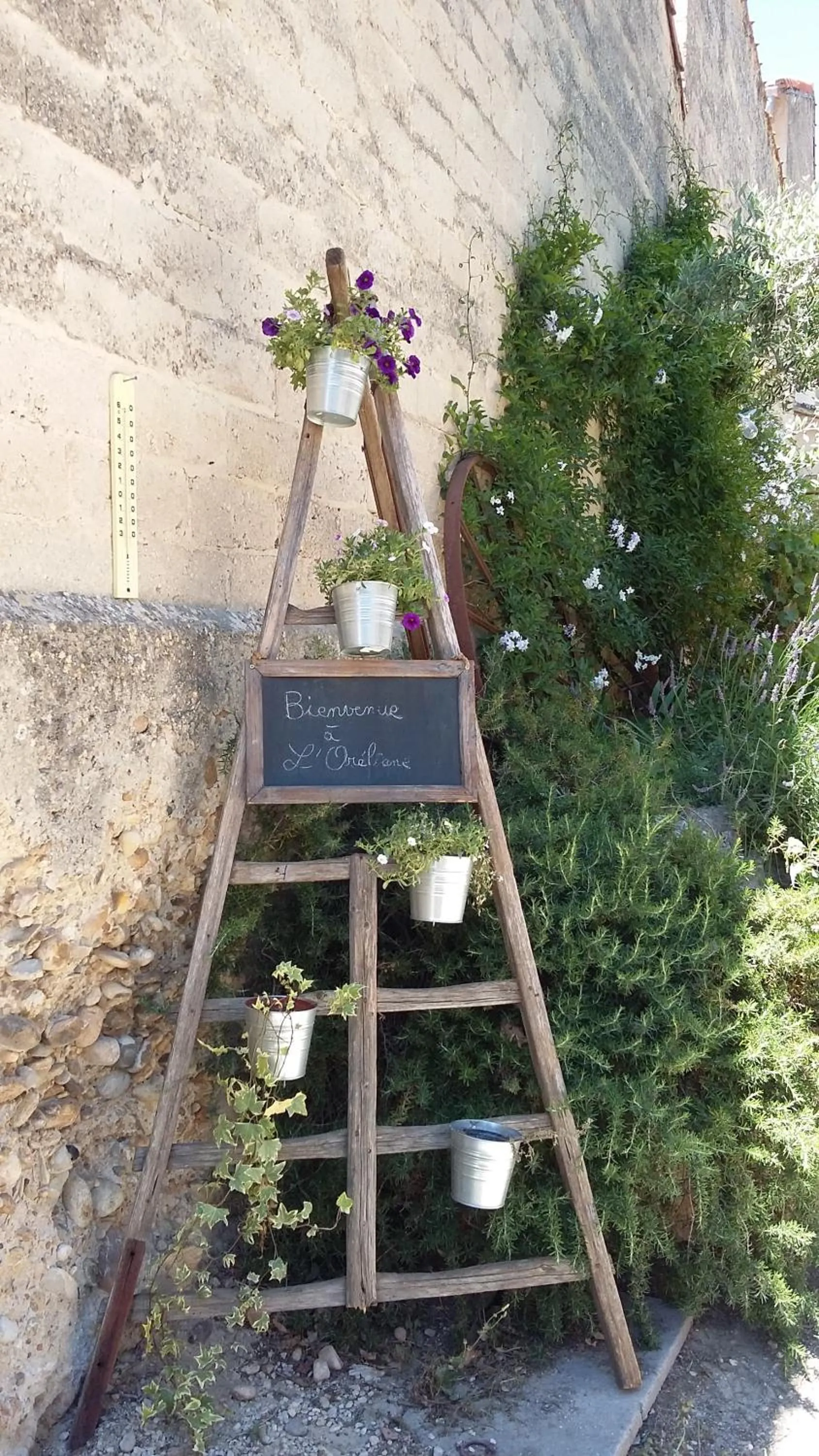 Garden in CHAMBRES D'HÔTES L'Oréliane en Provence Adults Only