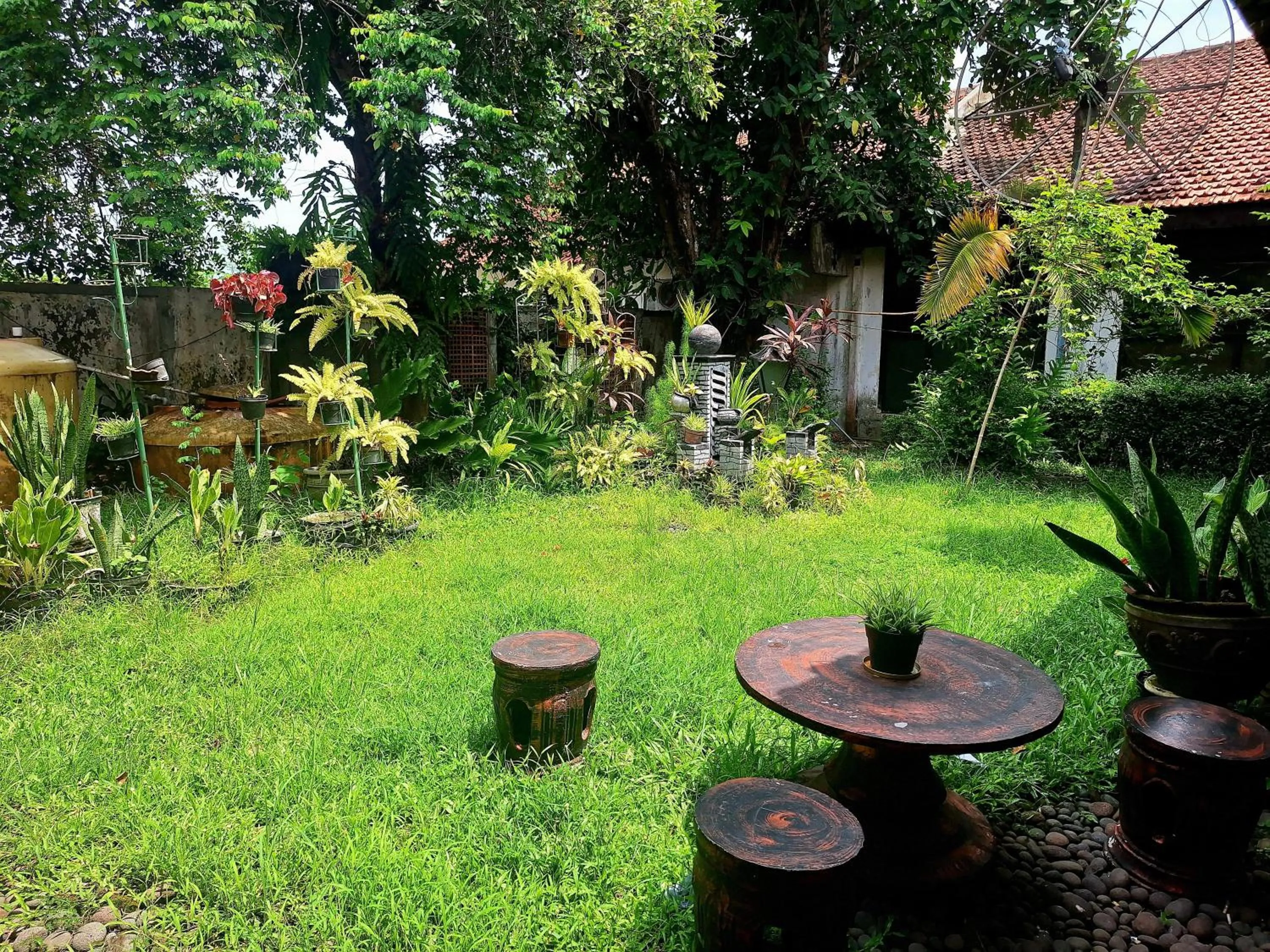 Garden in RedDoorz near Stadion Semeru Lumajang Jawa Timur