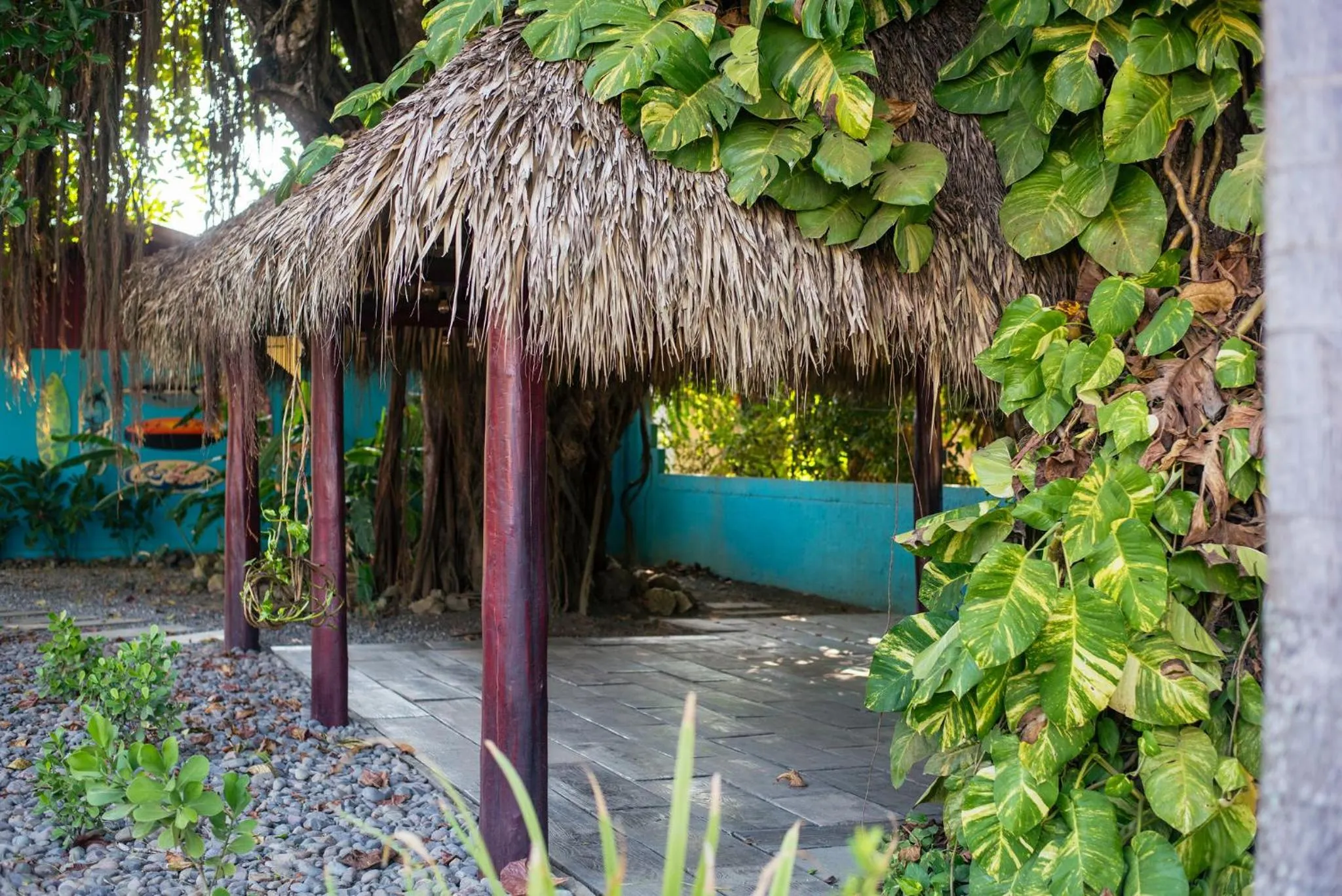 Garden in Beach Break Resort & CR Surf Camp