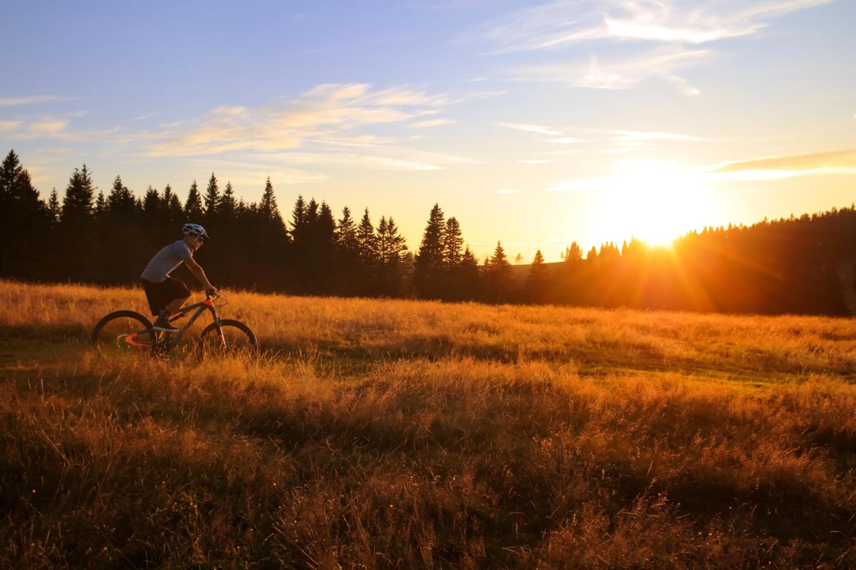 Cycling in Hotel Natura