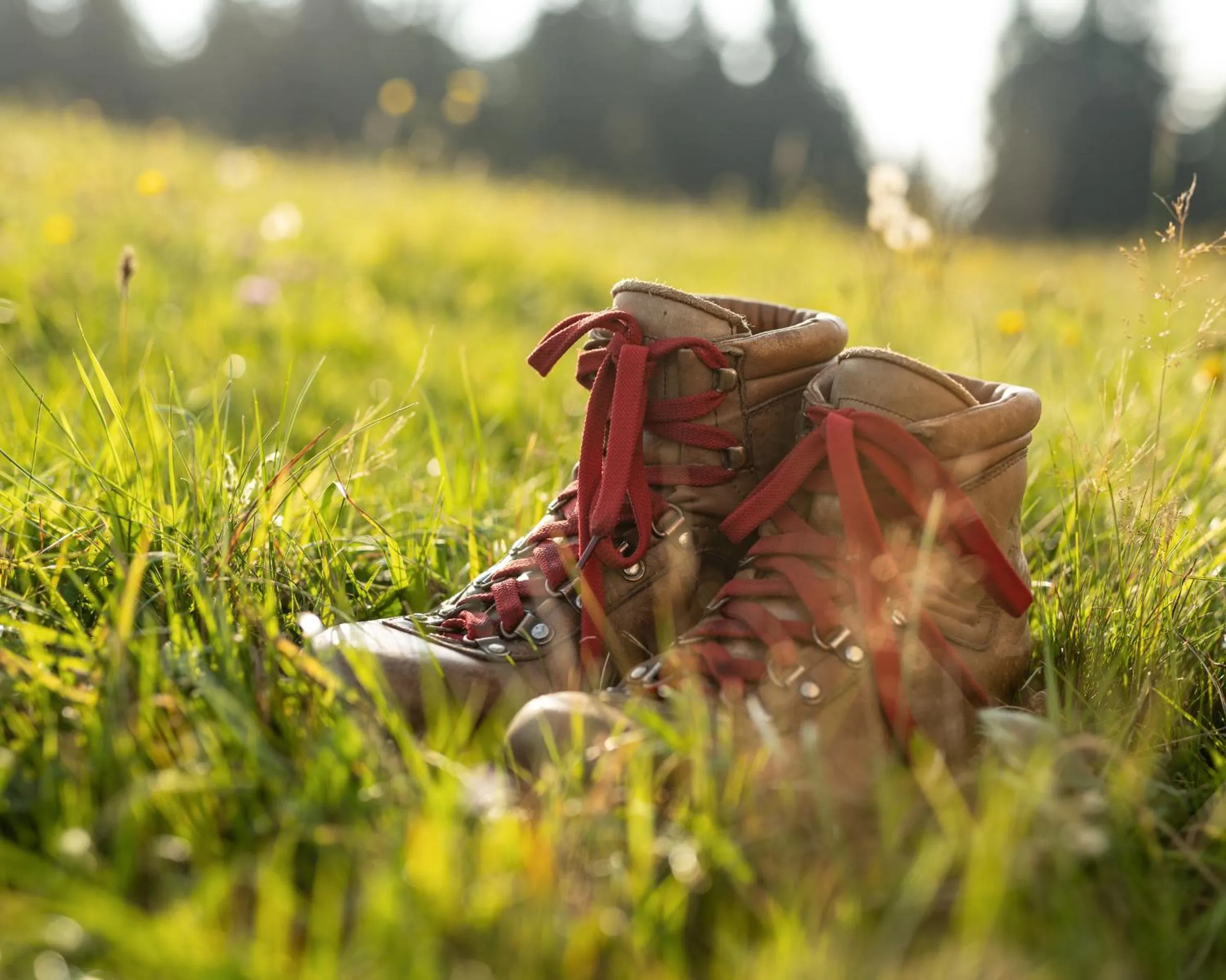 Hiking in Hotel Natura