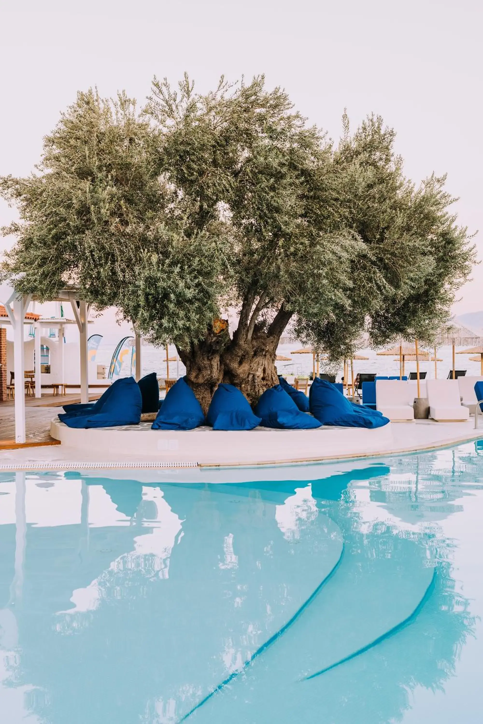 Swimming pool in Brown Beach Evia Island, All Inclusive in Eretria, a member of Brown Hotels Swimming pool in Brown Beach Evia Island, All Inclusive in Eretria, a member of Brown Hotels